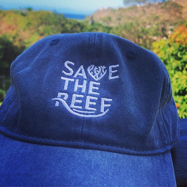 The Save the Reef @savethereef documentary by @amirzakeri @justinkalaniburbage and @karmagawa is brilliantly done and an inspiring call to action right now before it’s too late. Please please go to link in bio to watch the whole film! https://youtu.be/wthTmQHmuZ0 🐟🐟🐟🐟🐟🐟🐟🐟🐟🐟🐟 So grateful to be at the premiere! Loved meeting new friends and people @kualoaranch (beautiful Secret Island) who care about the earth’s future. Feeling hopeful, joyful and inspired today. And I love my new cap!
#savethereef #reefsafe #karmagawa #premiere #reefsafesunscreen #nonnanozincoxide #saveouroceans #oxygen #coralreef #reeffriendly #coralrestoration #inspiration #kokuasuncare