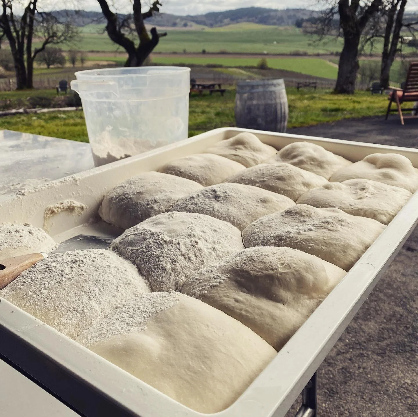 We will be slingin&rsquo; pies all weekend!! @johanvineyards and at @oldelinelanes Order a pizza, cookies, and a sangria and enjoy some summer ☀️