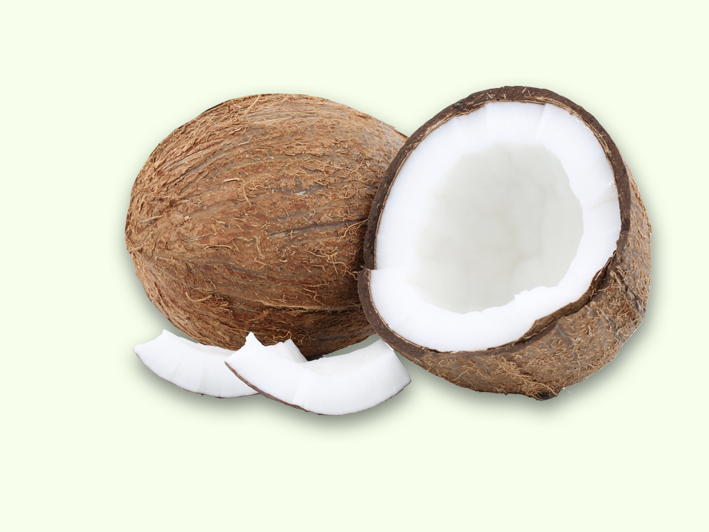 coconuts.001.jpeg