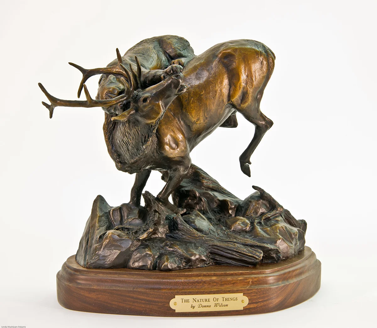   The Nature of Things   Year:&nbsp;2012  Edition: 25  Size:&nbsp;14 x 17 x 10 (h x w x d, inches)   My love and respect for the natural world and all of the terrible beauty I find in the struggle to survive is depicted here between a young bull elk 