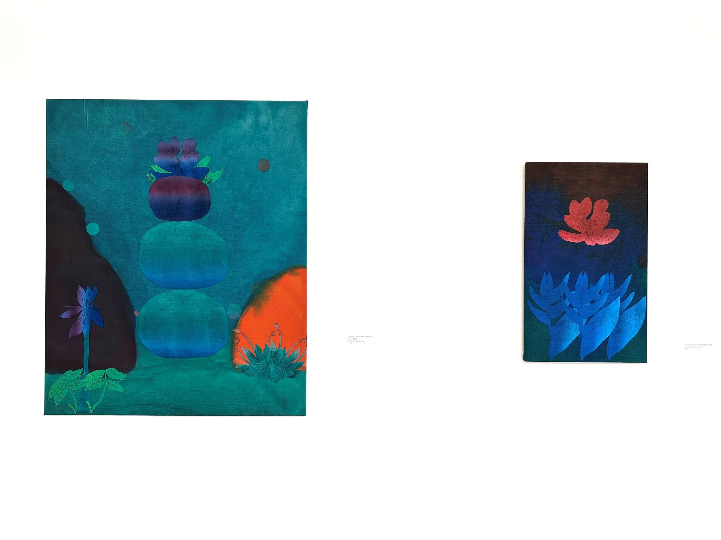 ‘Water Meadows’