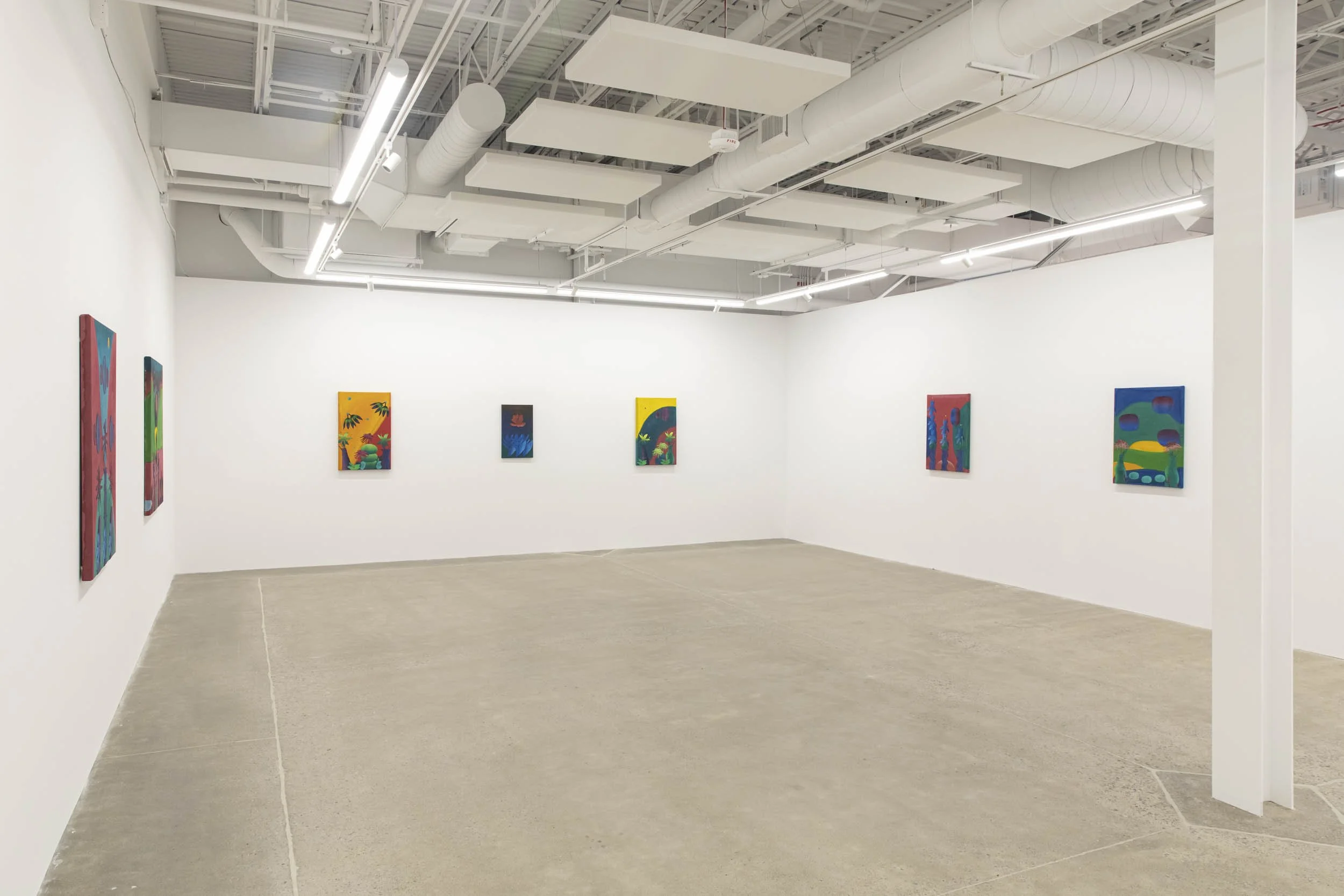 On The Mountainside By The River Installation View