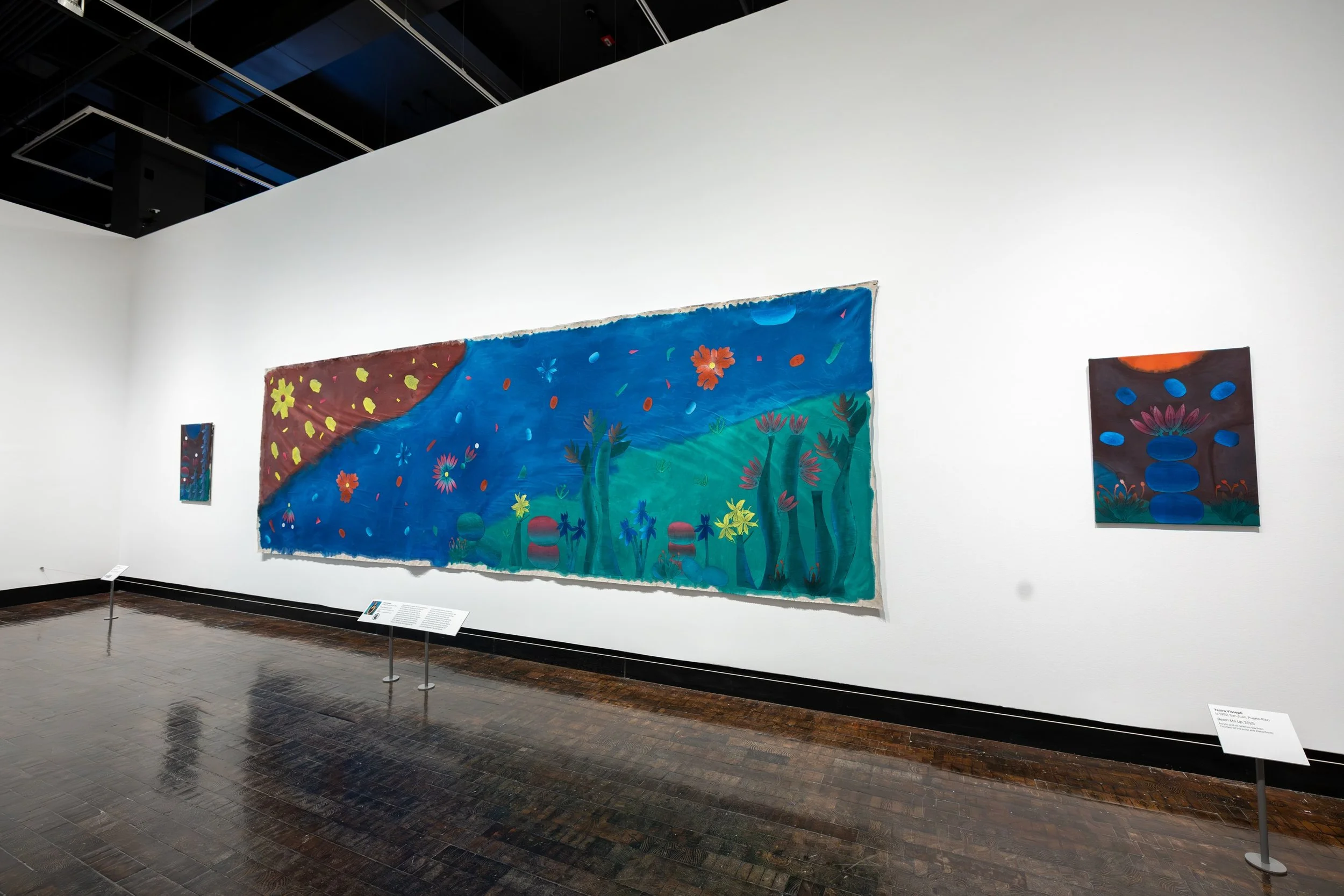 Installation view at Frist Art Museum