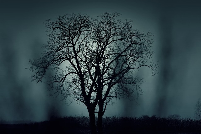 the sounds of darkness.jpg