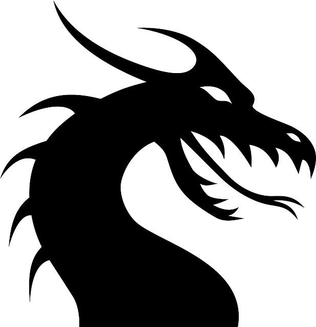 Enter the dragon.png