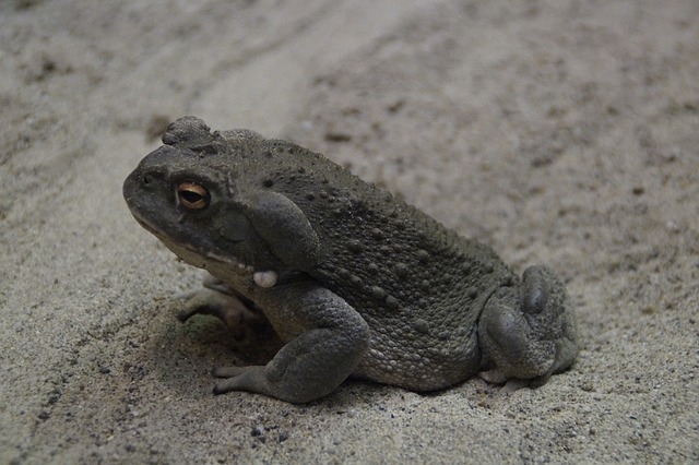 Warts and all.jpg