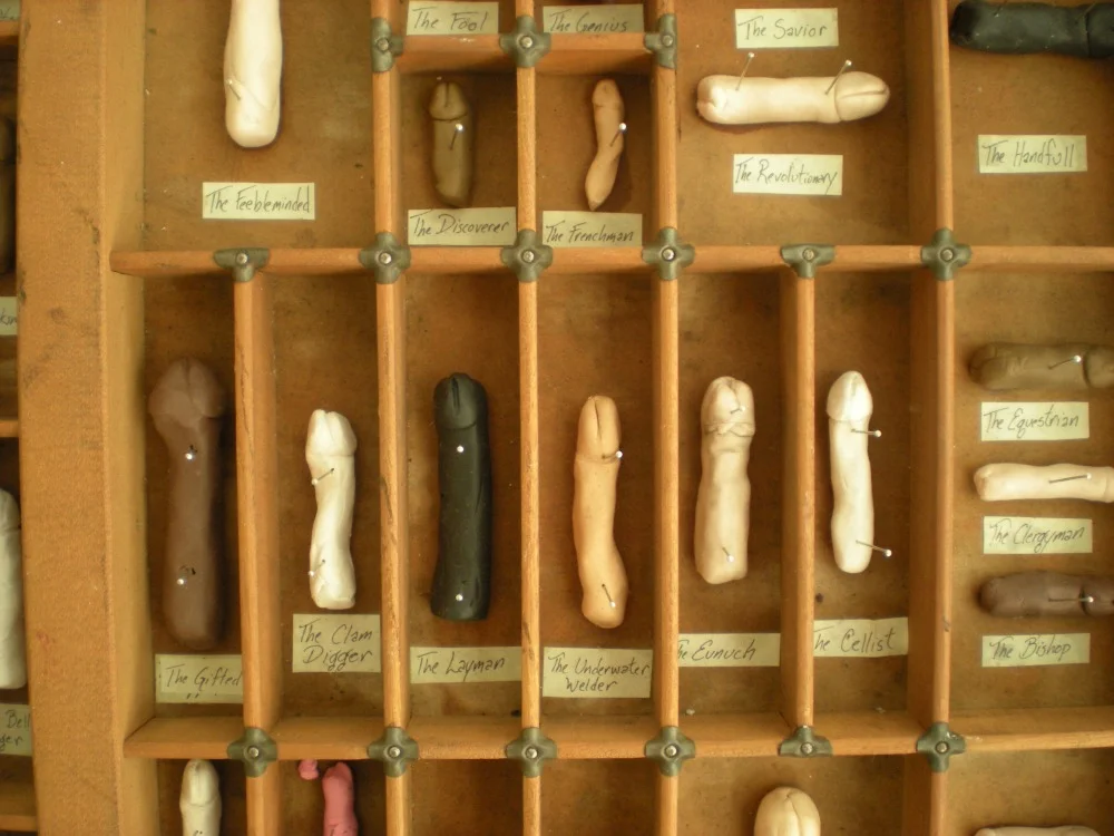 CollectorDetail1.jpg