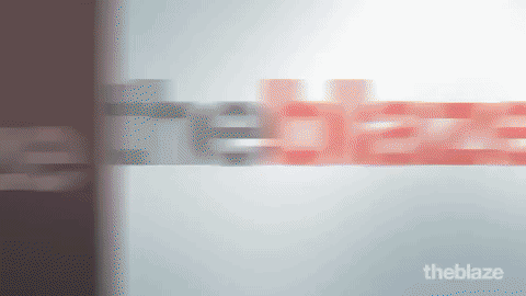 TOMI GIF.gif