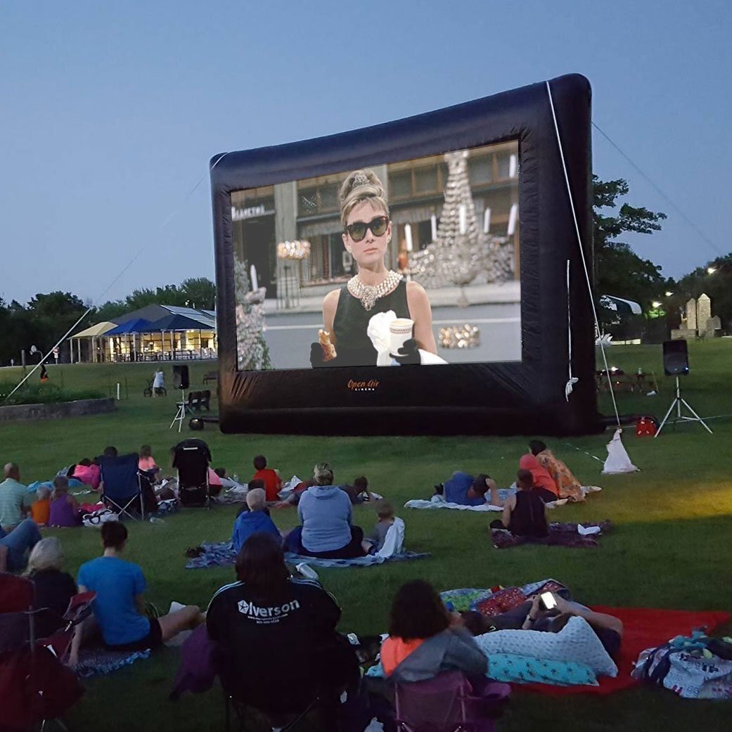 25_-Elite-Screen-Rear-Projection_Garbo_1041x.jpg