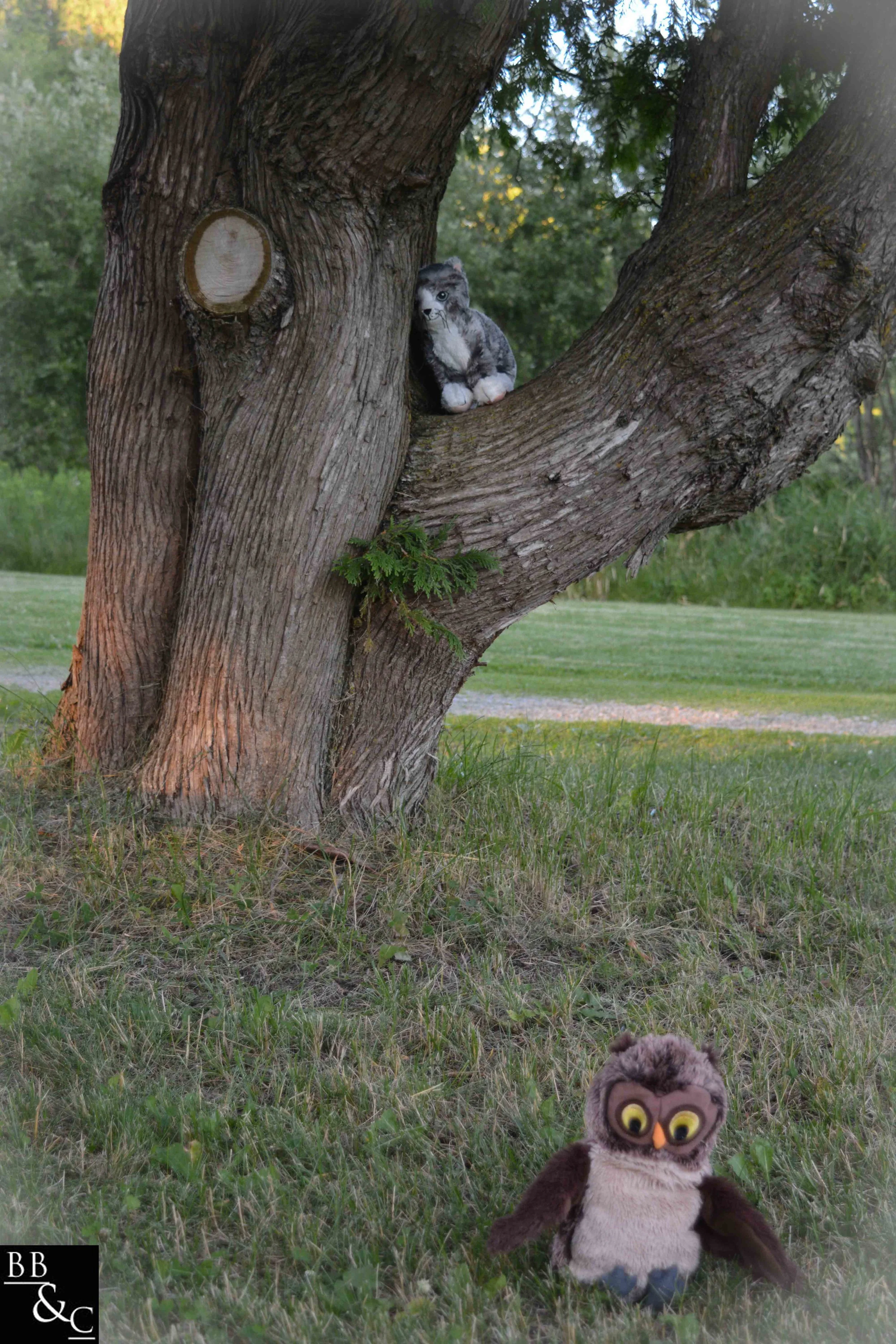 where could Penelope be?