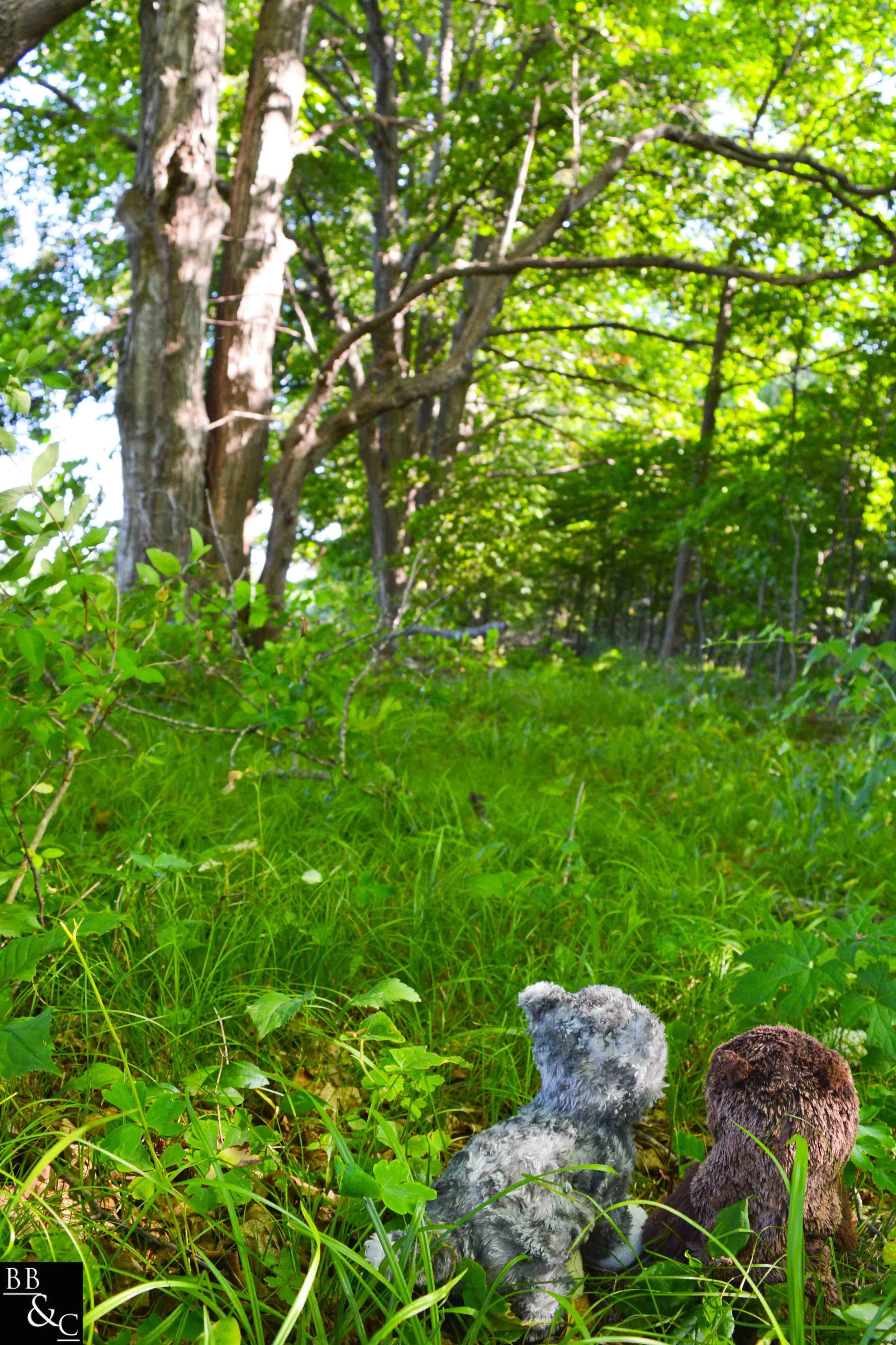 such a strange place, Penelope. yup, I want to come back again. I wonder what we'll find then?