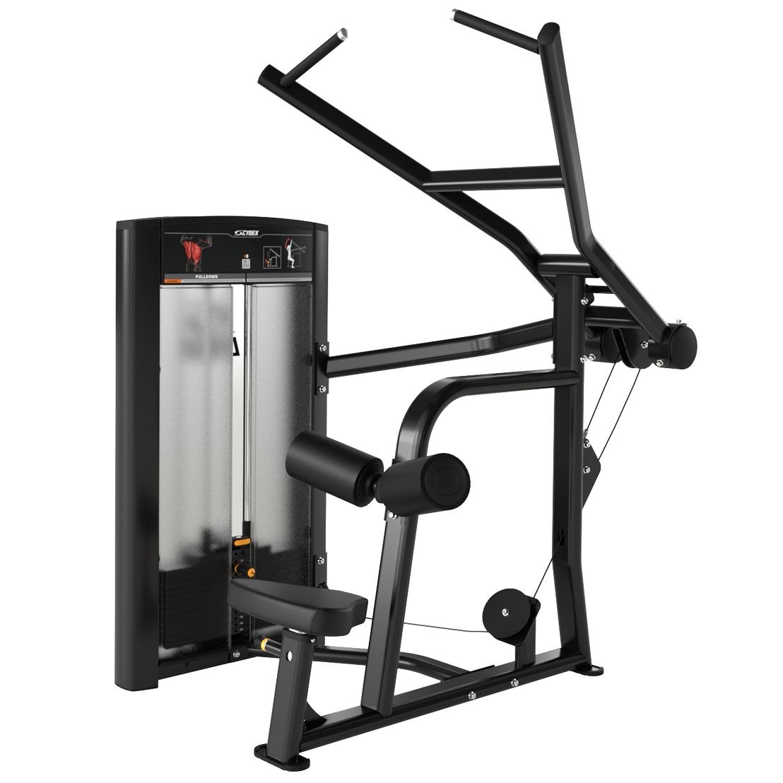 ci-pd-cybex-ion-pulldown-data.png