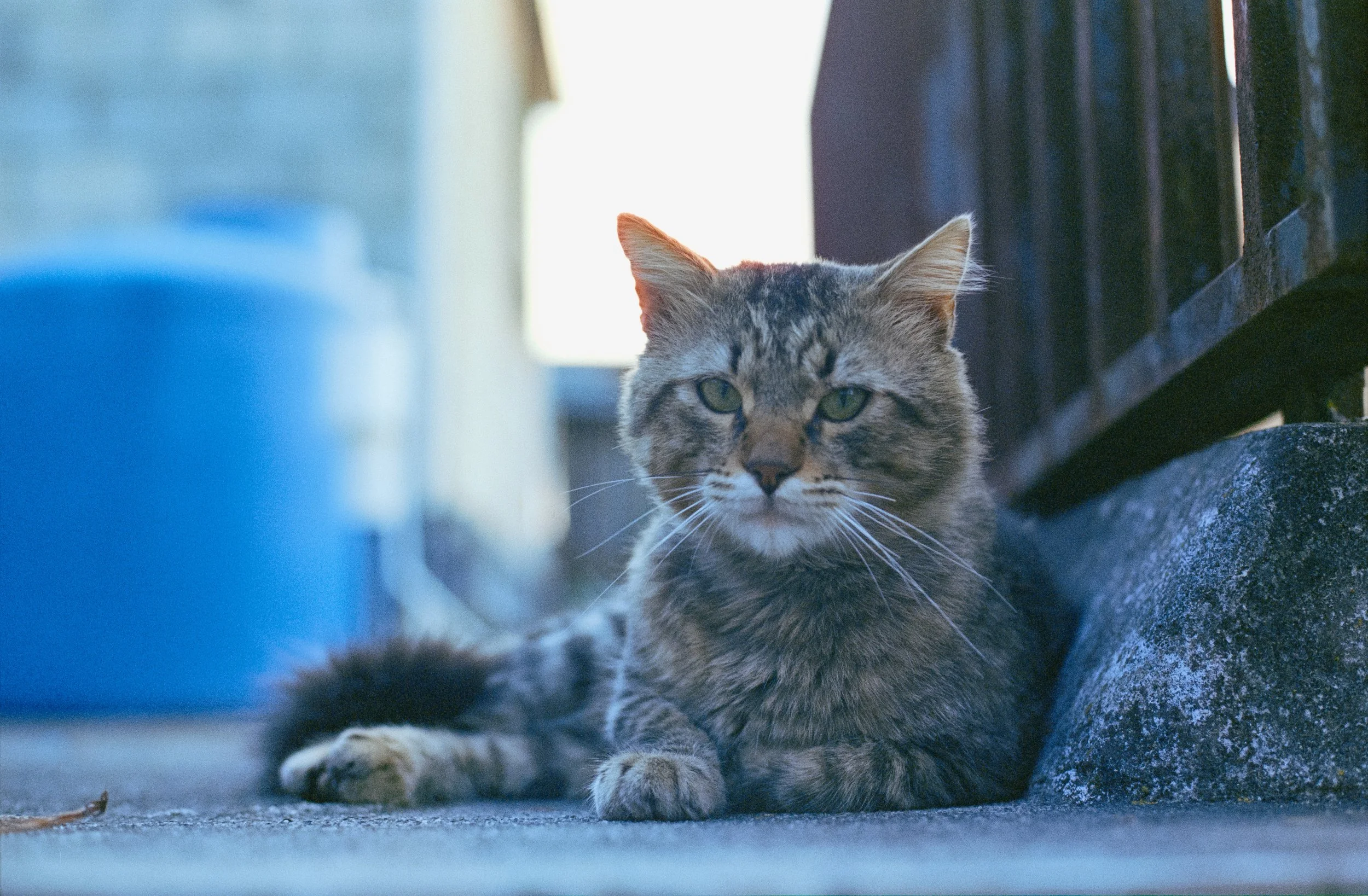 Reflx Lab 200T_Elliot Morales (2).JPG