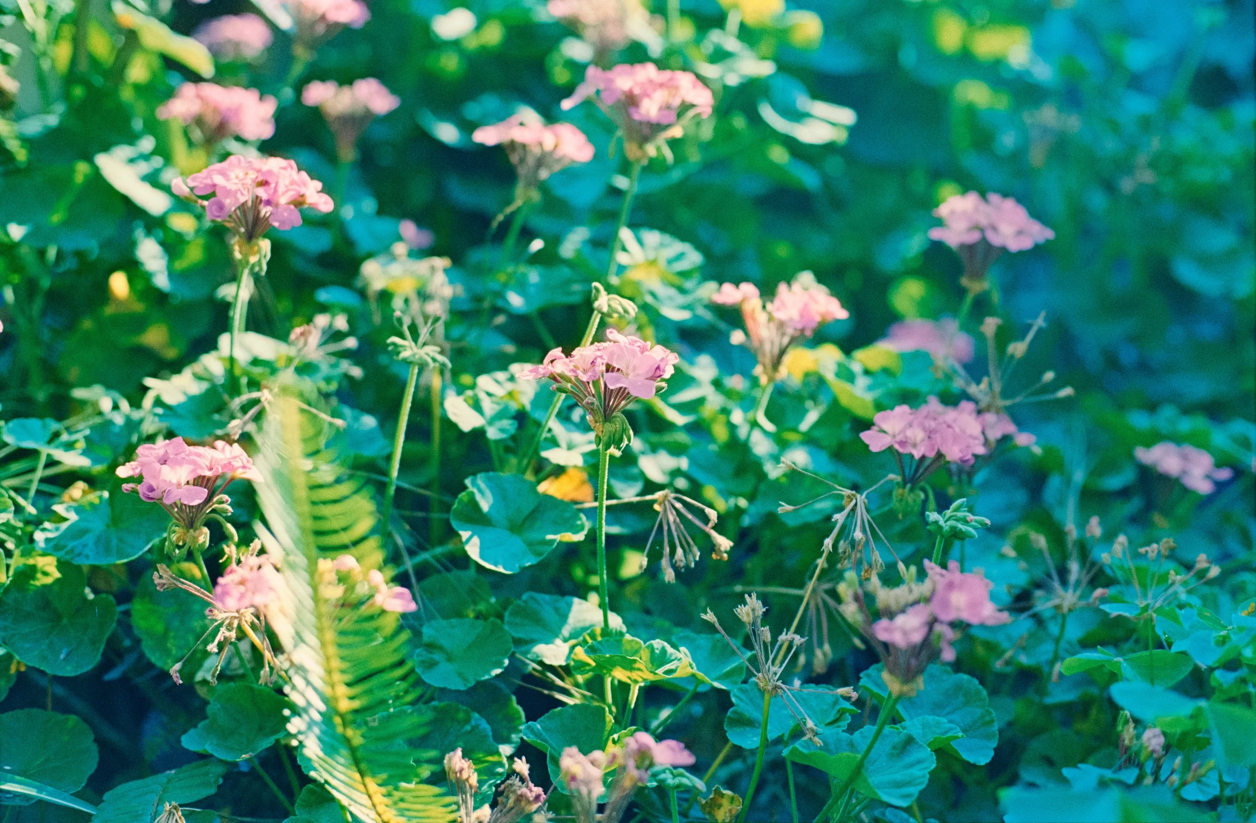 Reflx Lab 200T_Elliot Morales (3).JPG