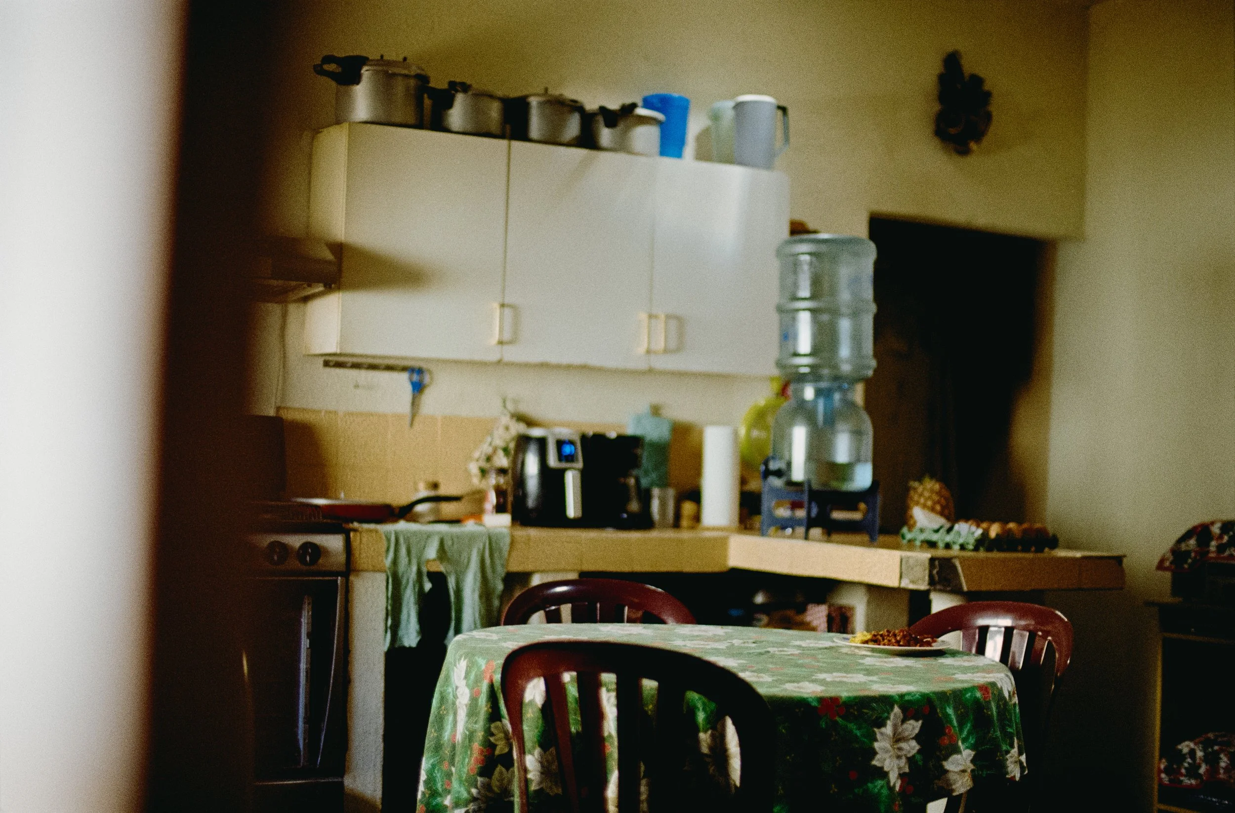 Kodak Vision 3 500T_Elliot MOrales_4.JPG