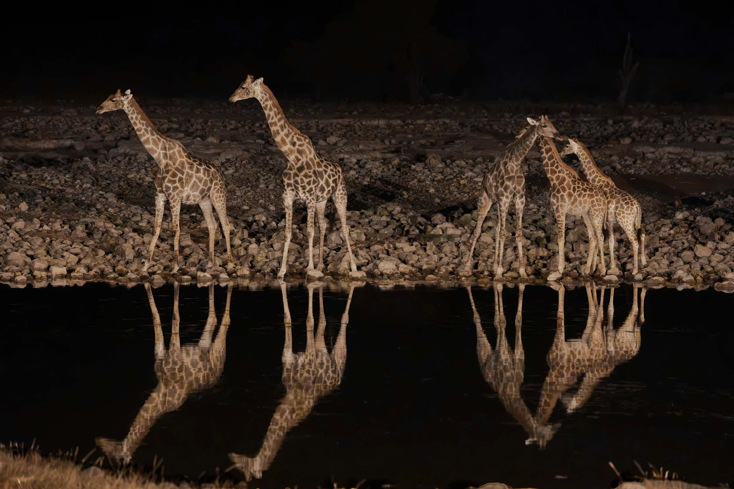 Namibia-ThomasEWilson-104.jpg