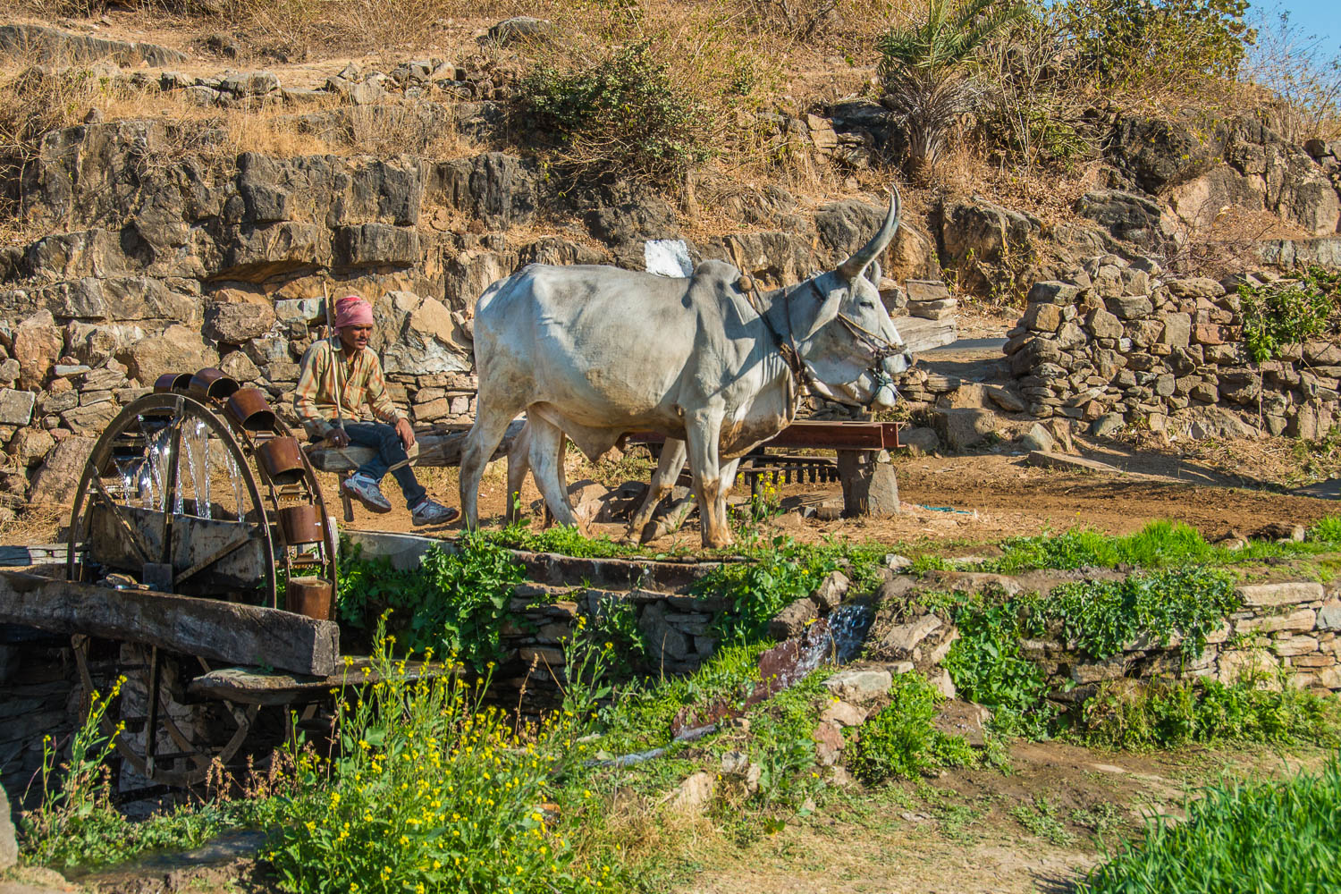 INDIA_2015-829.jpg