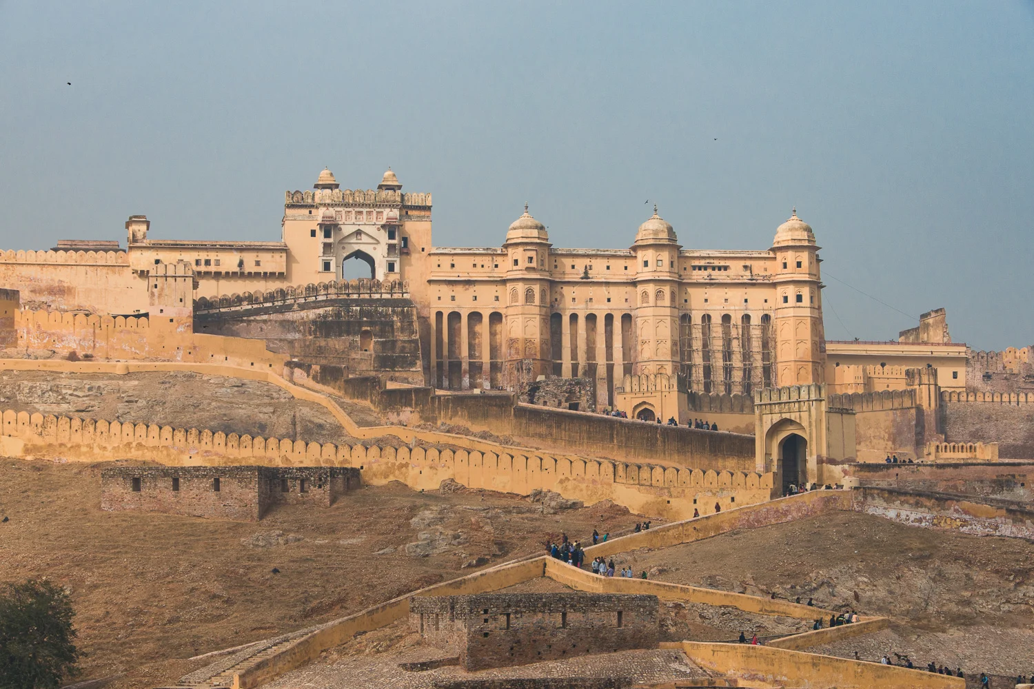 INDIA_2015-1184.jpg