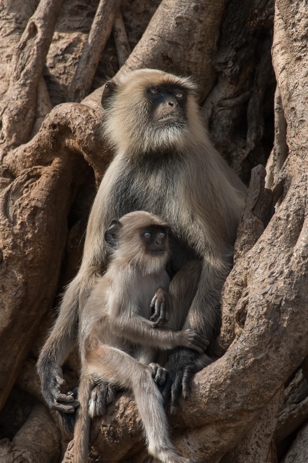 INDIA_2015-1531.jpg