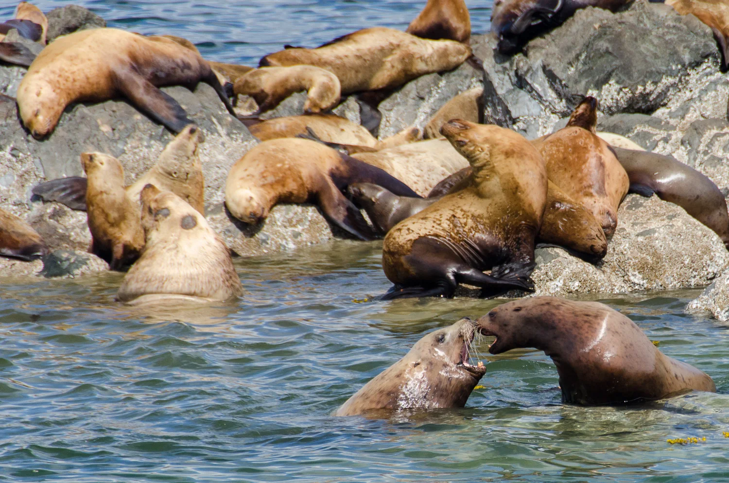 Alaska_2013-183.jpg