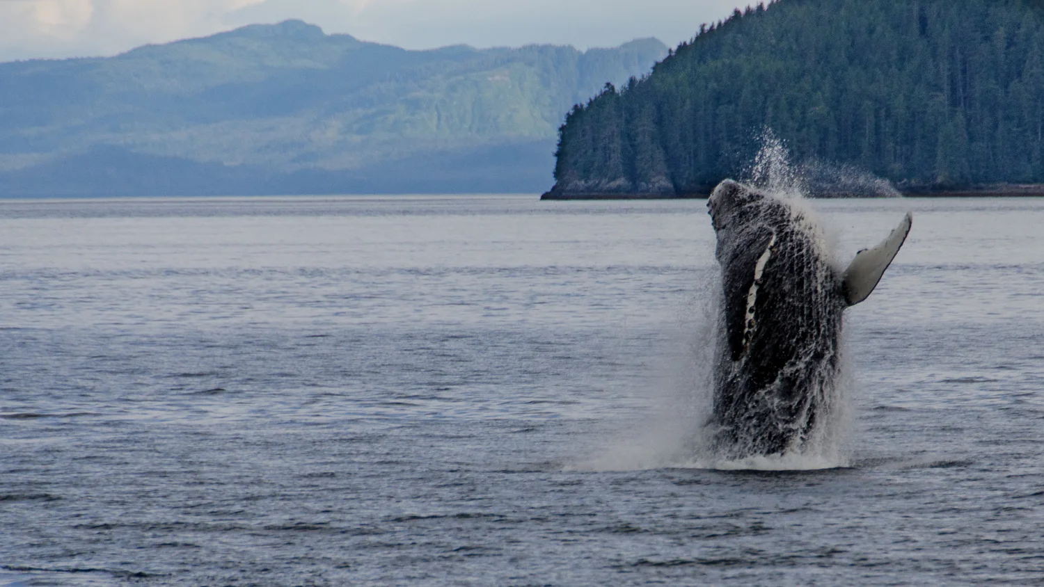 Alaska_2013-222.jpg