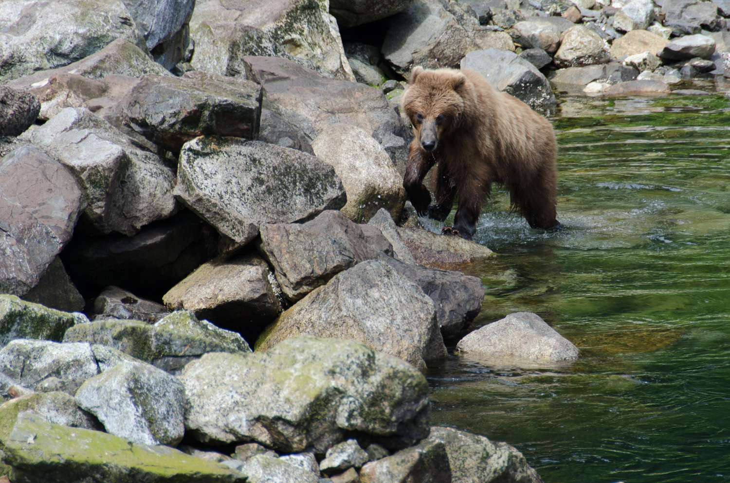 Alaska_2013-364.jpg