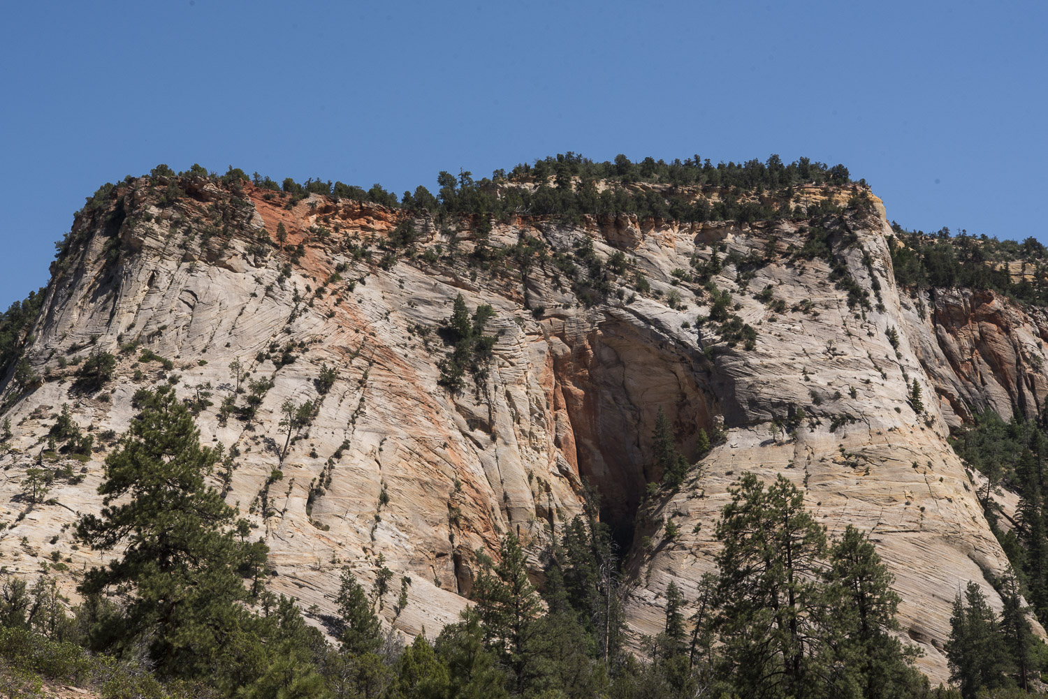 Zion National Park