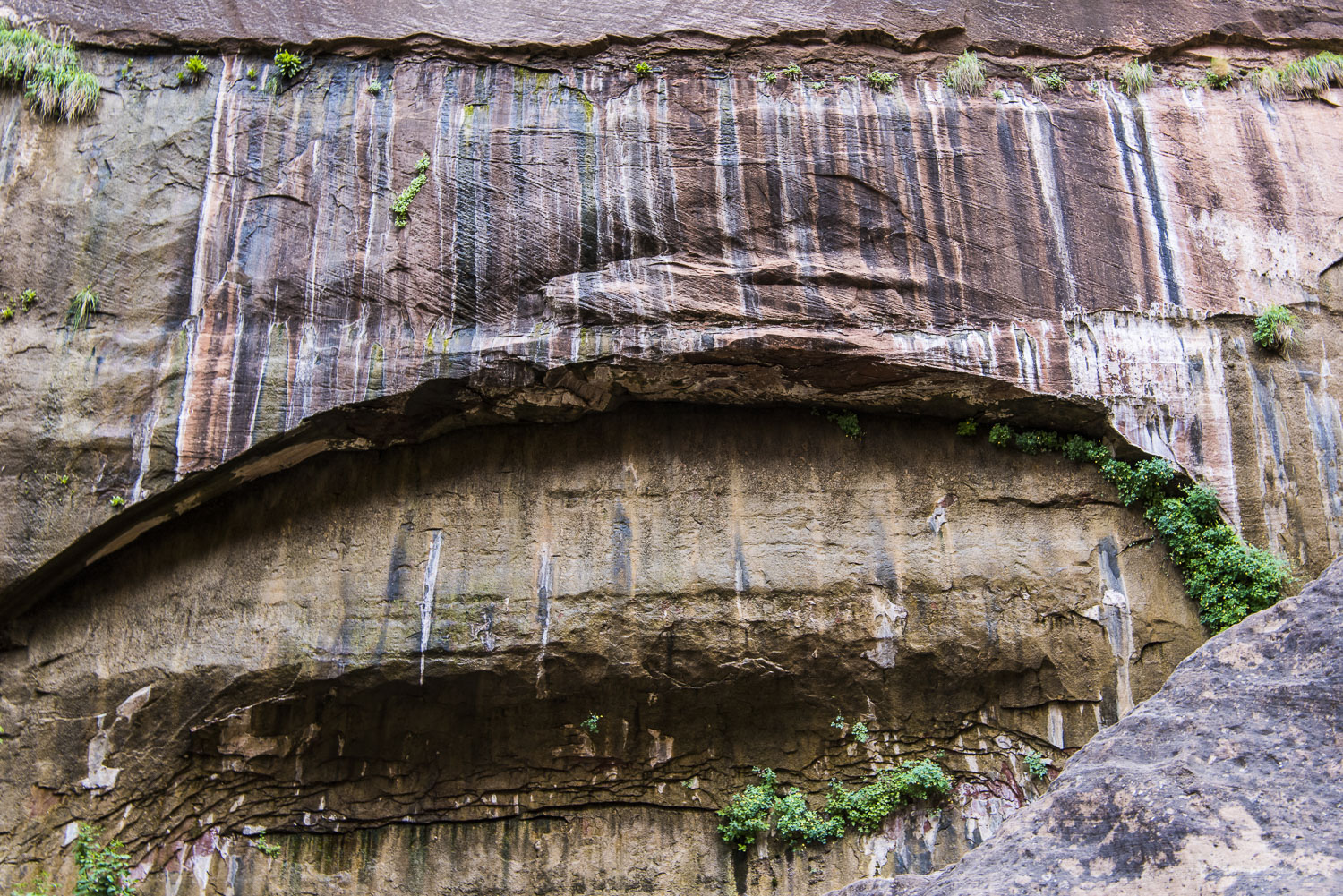 Zion National Park