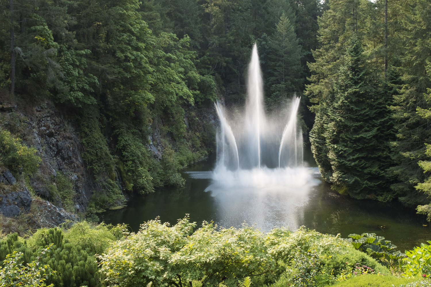 Butchart Gardens