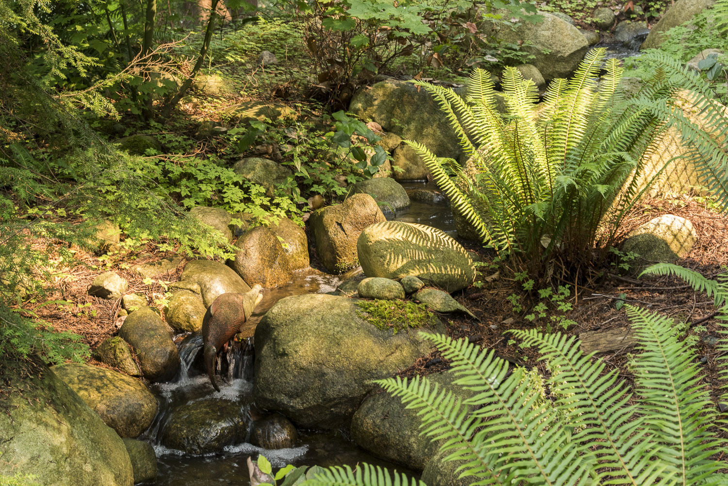 Capilano Park