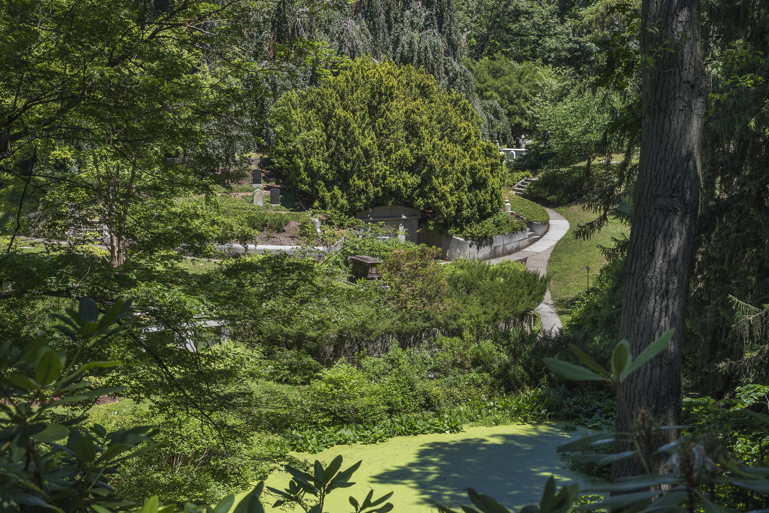 Mount Auburn Cemetary