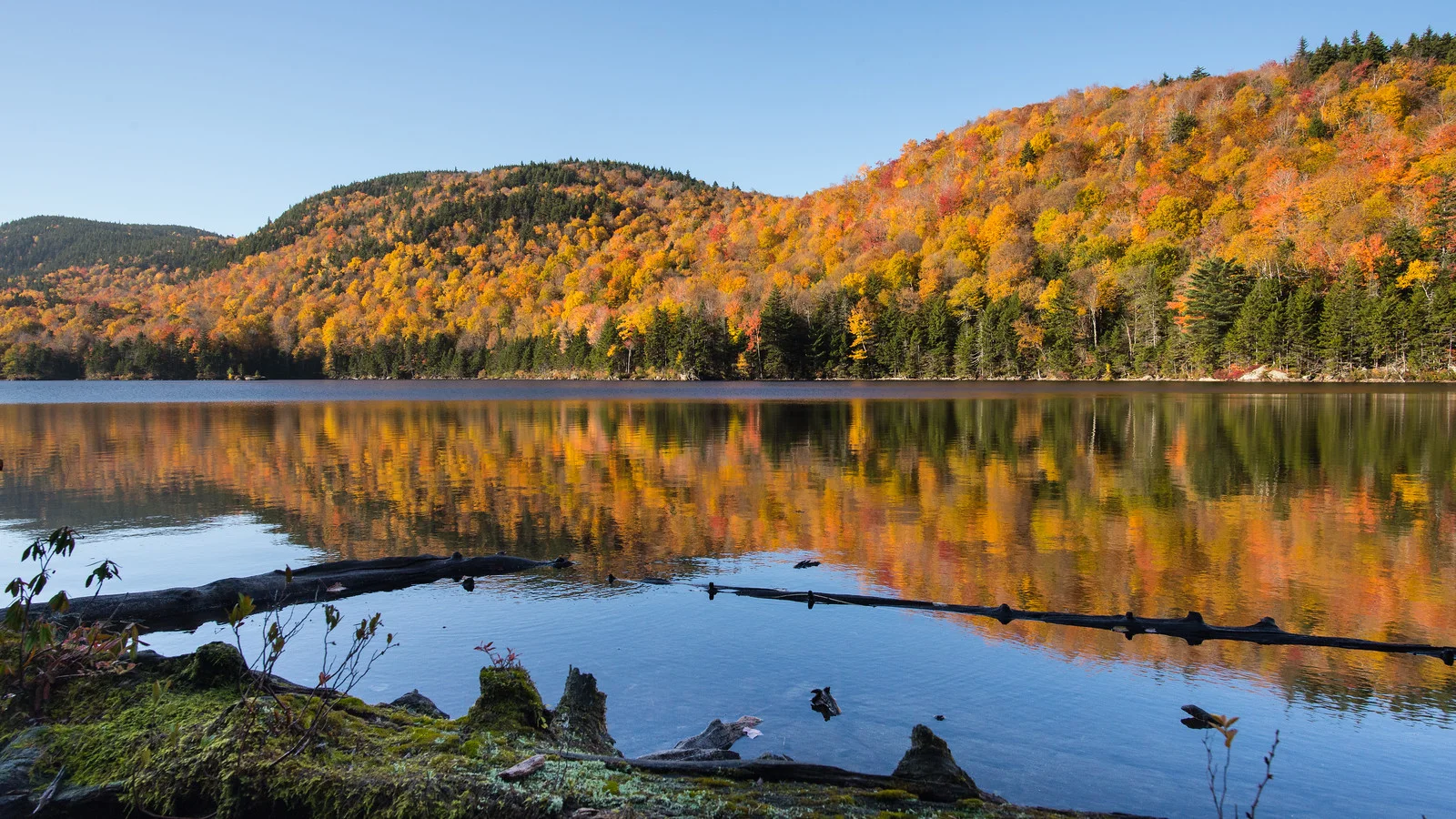 Reflections — thomas wilson photography