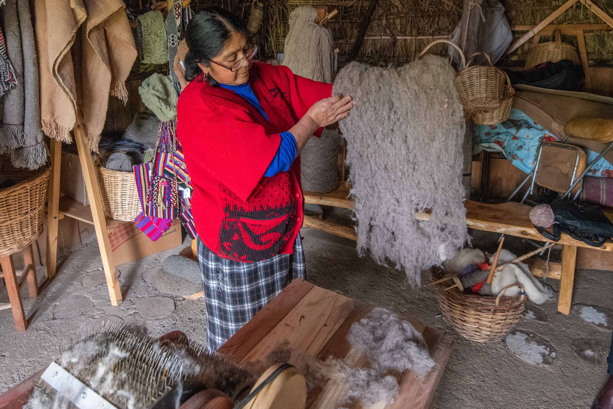 Mapuche Weaver
