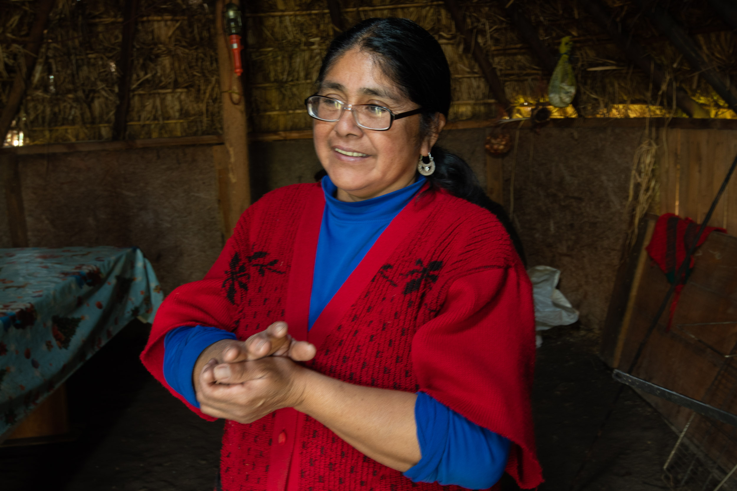 Mapuche Weaver