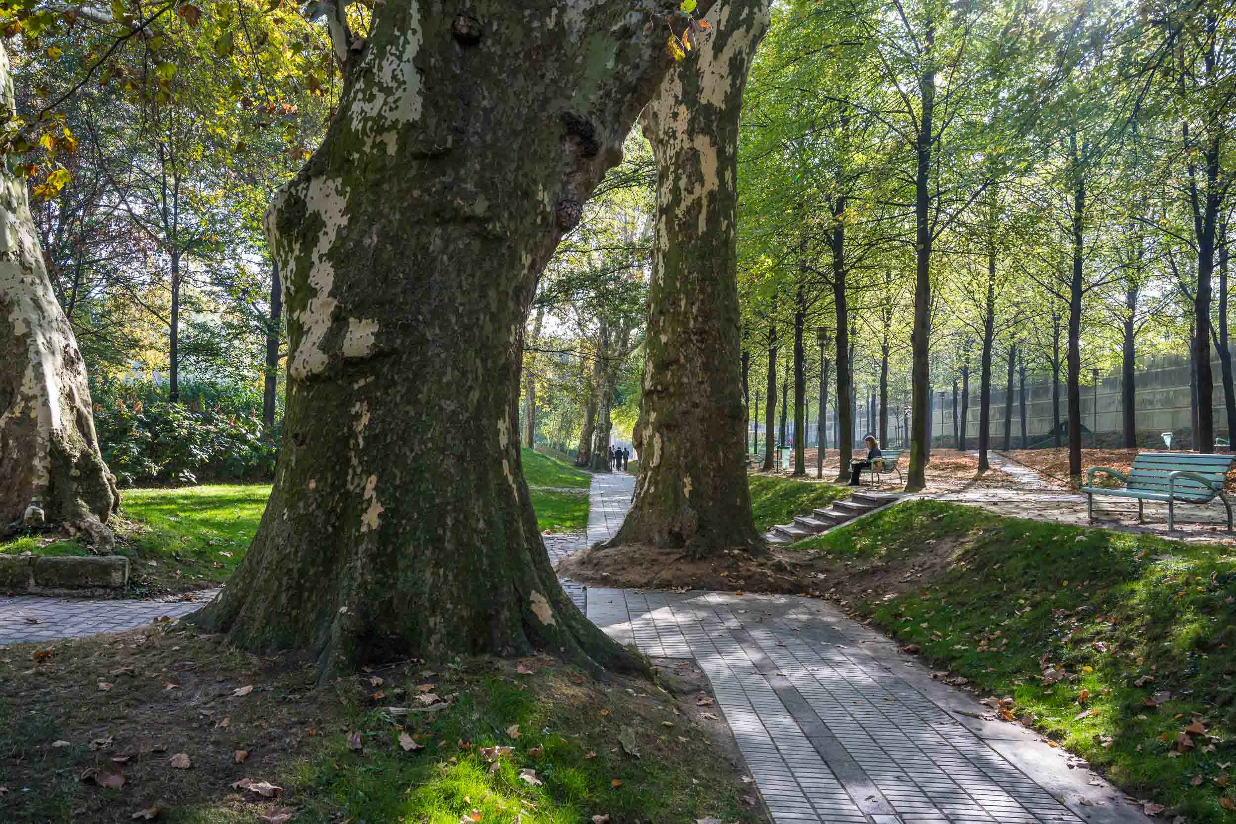 Parc de Bercy