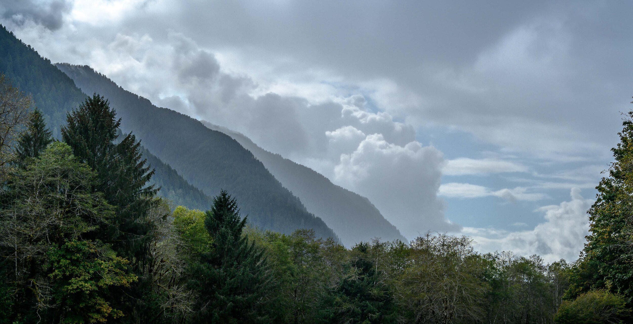 Thomas Wilson Photography - Olympic National Park-3.jpg