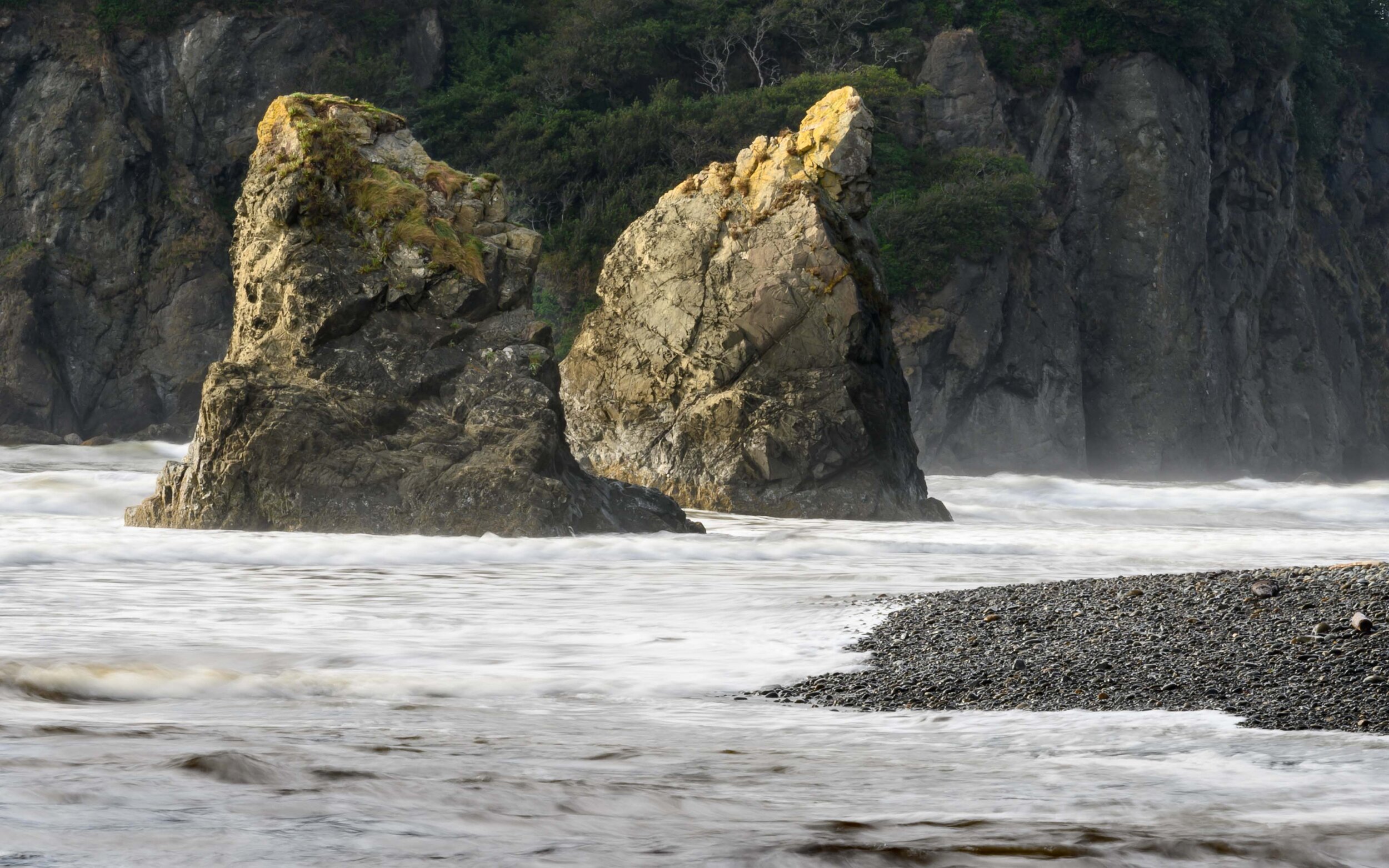 Thomas Wilson Photography - Olympic National Park-14.jpg