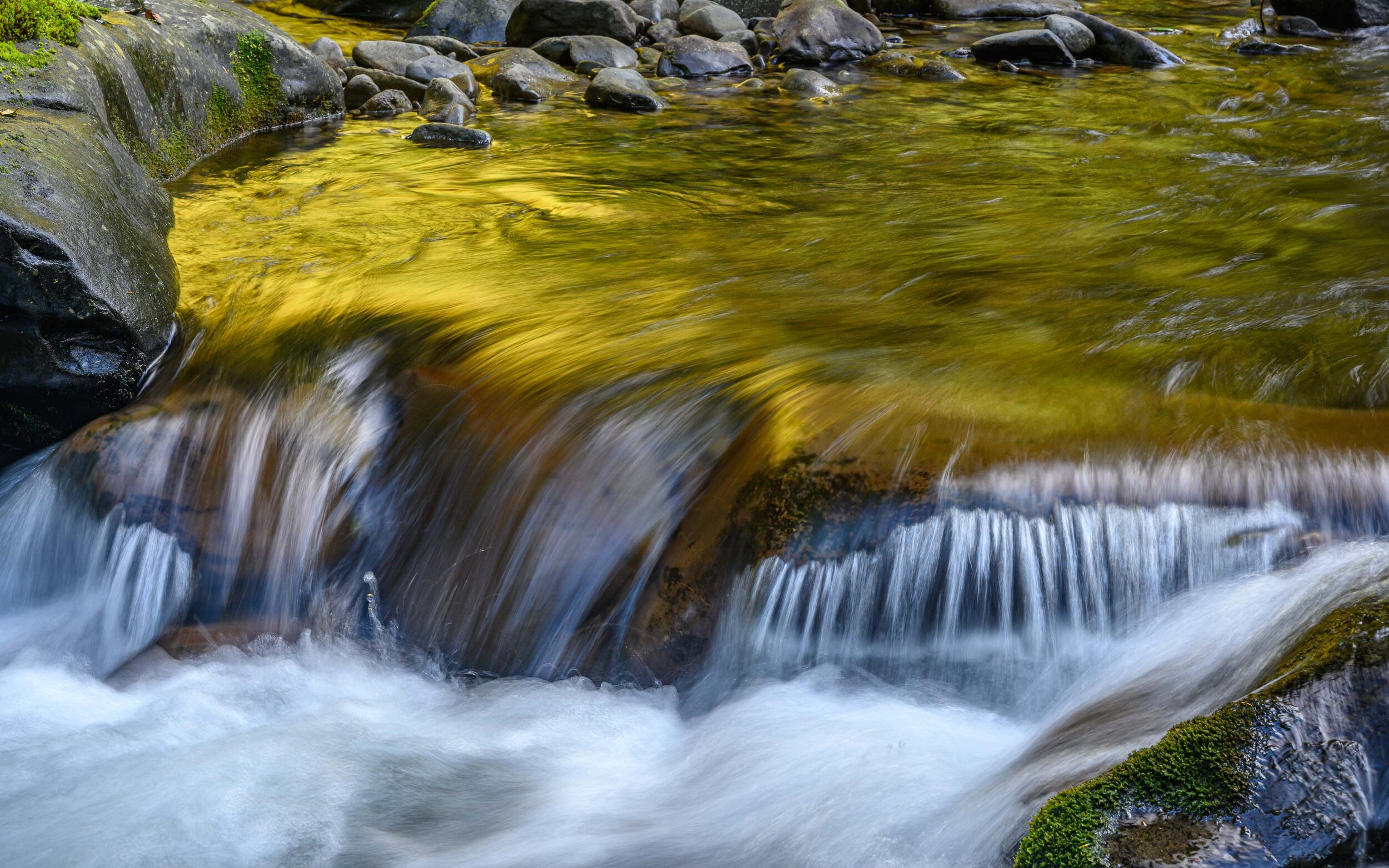 Thomas Wilson Photography - Olympic National Park-17.jpg