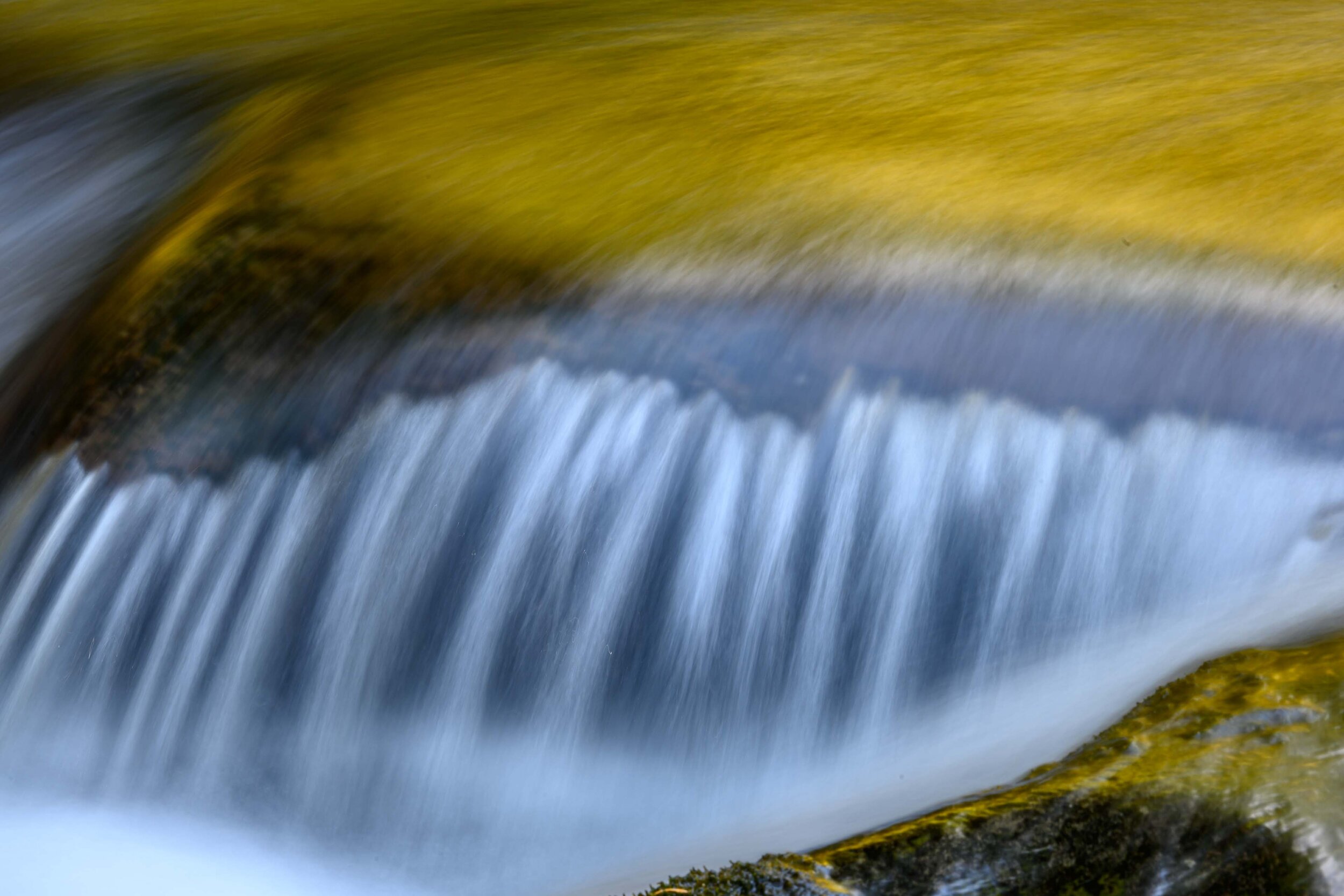 Thomas Wilson Photography - Olympic National Park-18.jpg