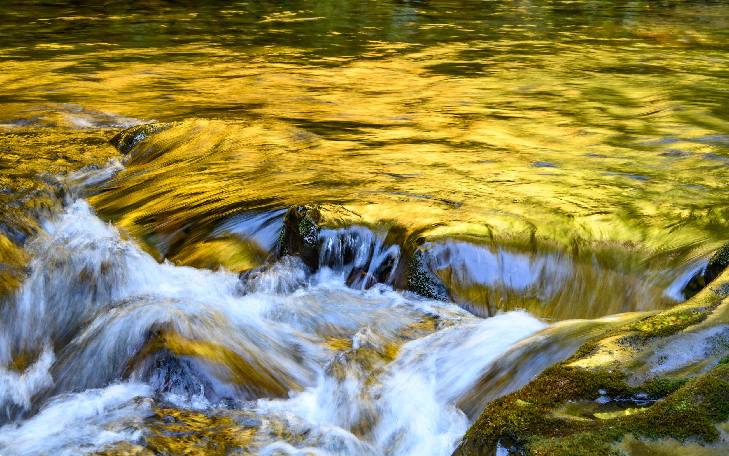 Thomas Wilson Photography - Olympic National Park-19.jpg