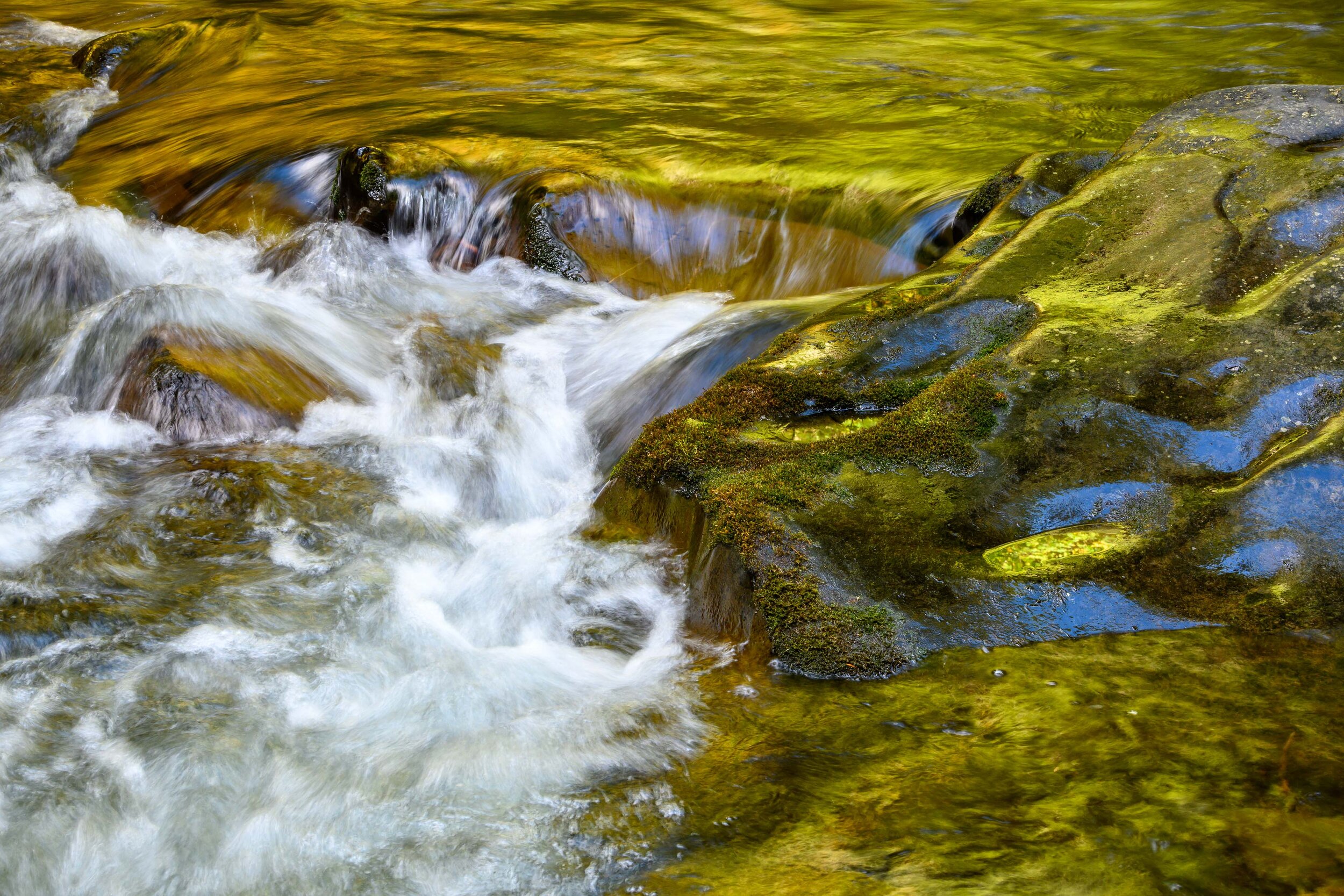 Thomas Wilson Photography - Olympic National Park-20.jpg