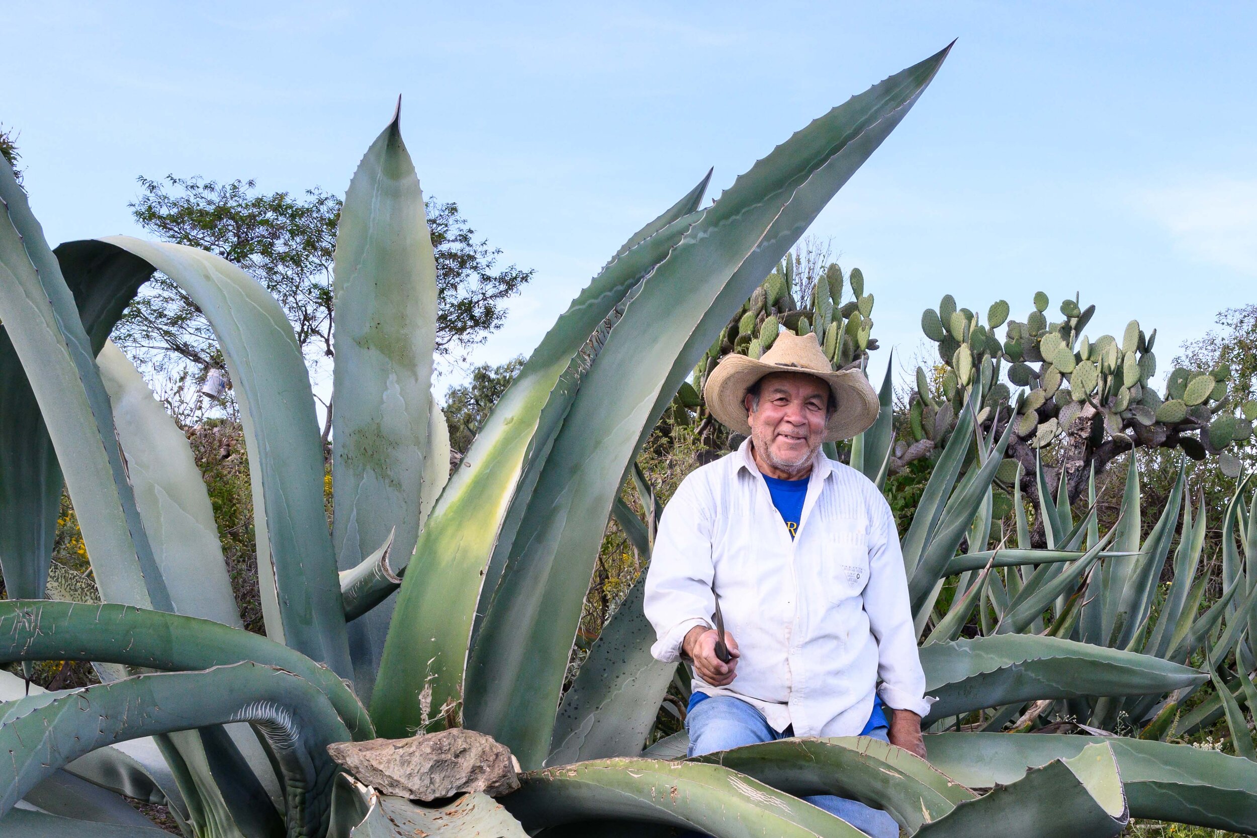 Pulque Ranch