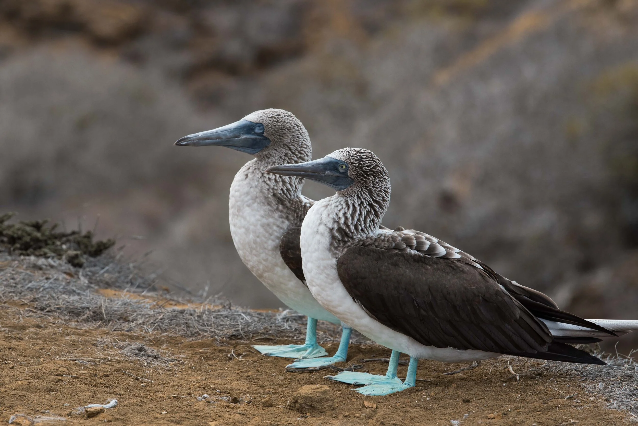 Thomas Wilson Photography - Gallery demo-2.jpg