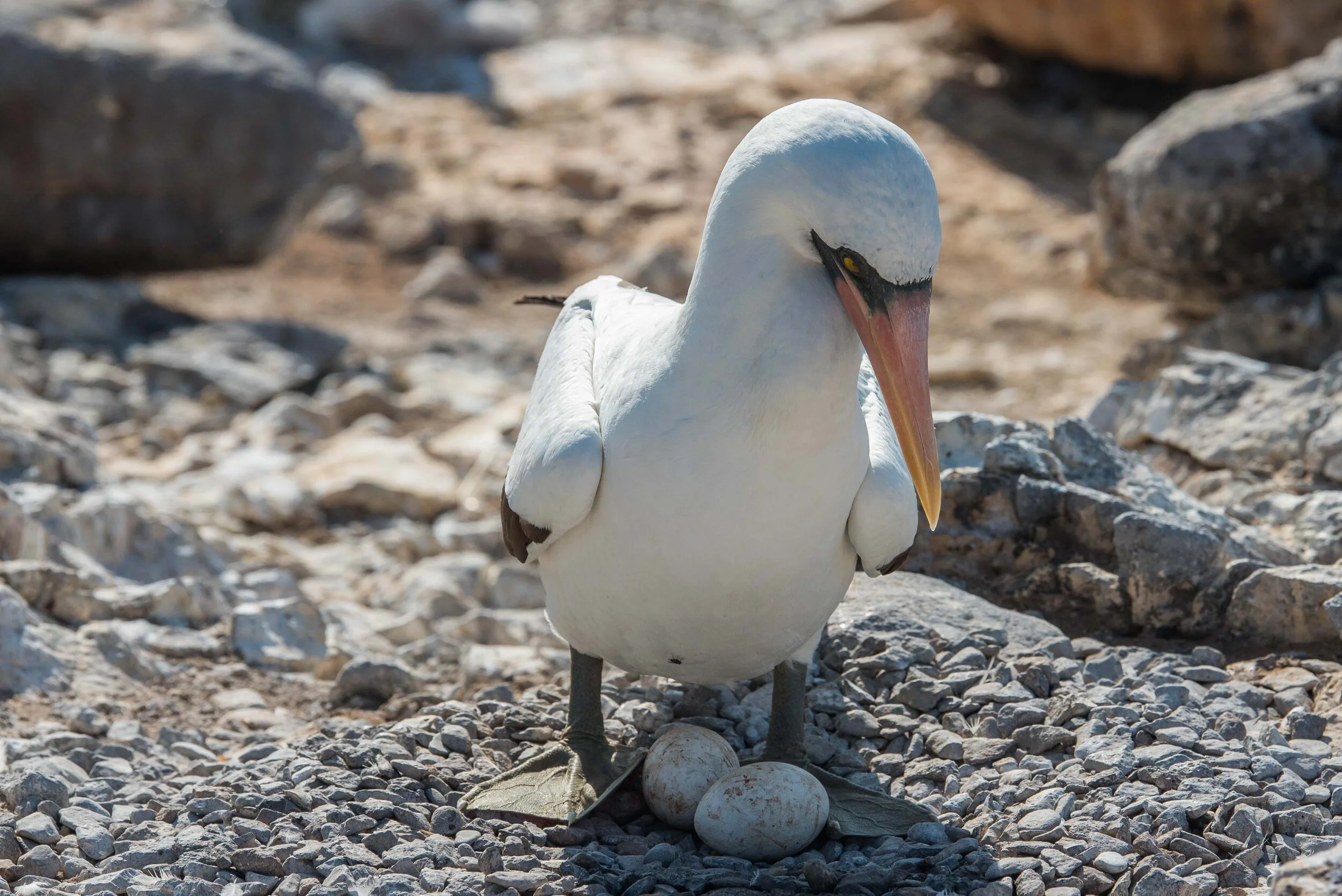 Thomas Wilson Photography - Gallery demo-3.jpg