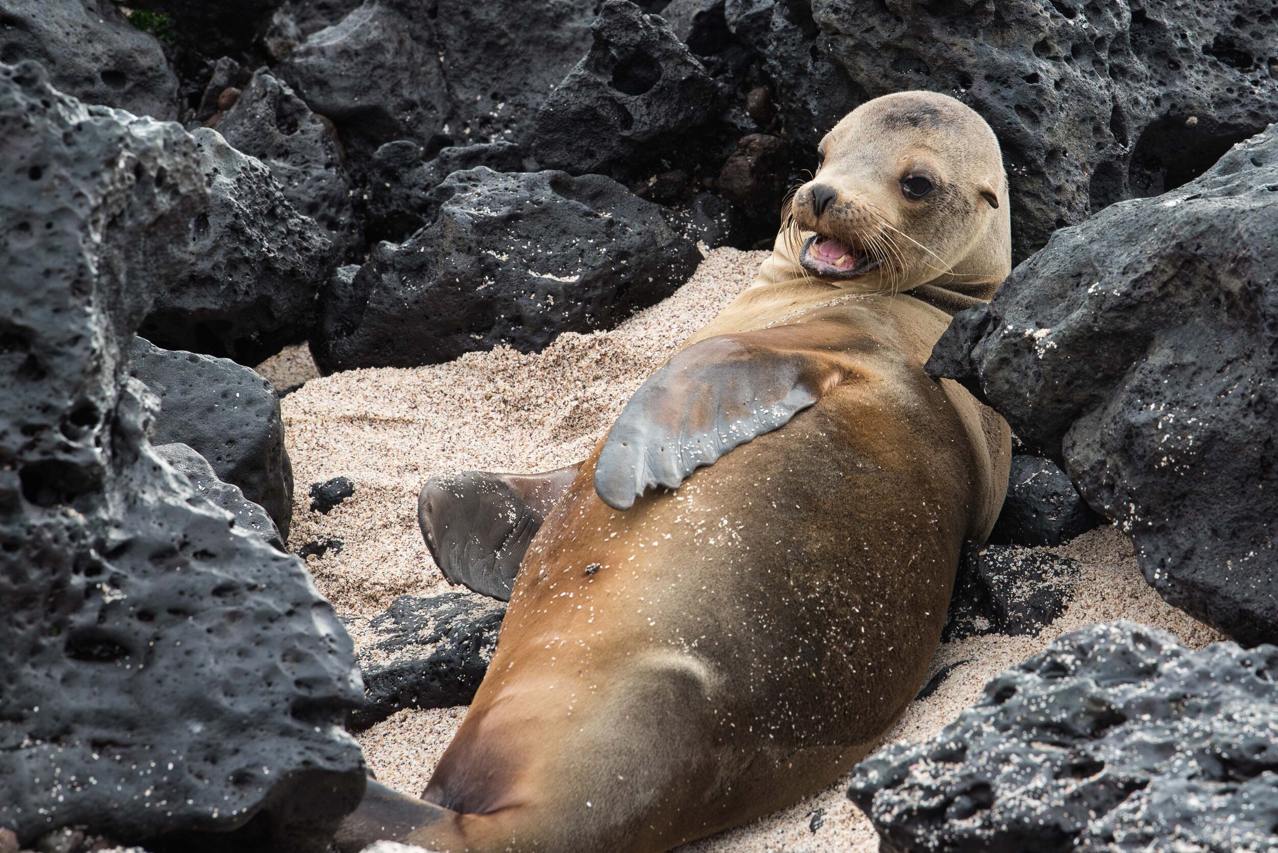 Thomas Wilson Photography - Gallery demo-4.jpg