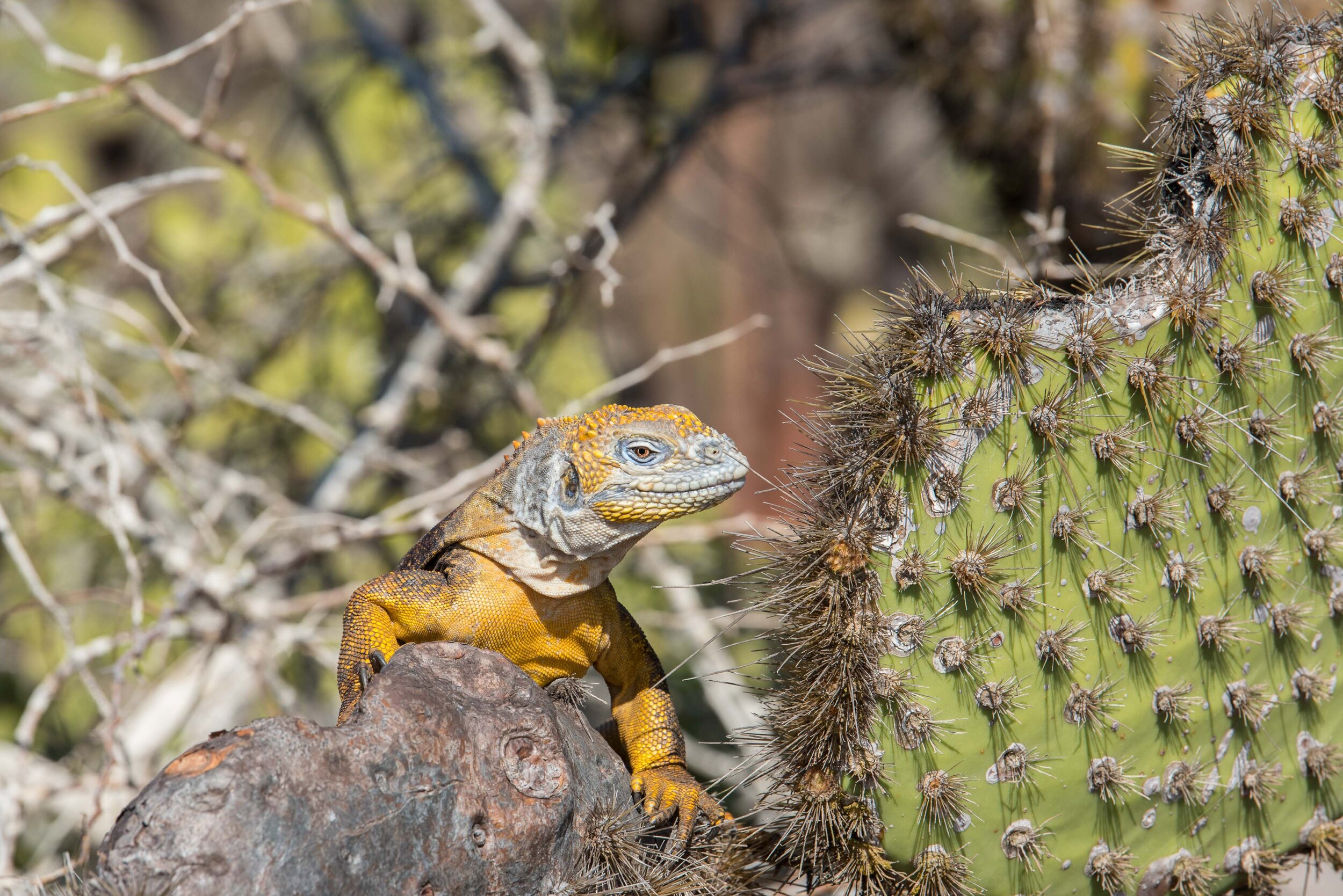 Thomas Wilson Photography - Gallery demo-6.jpg