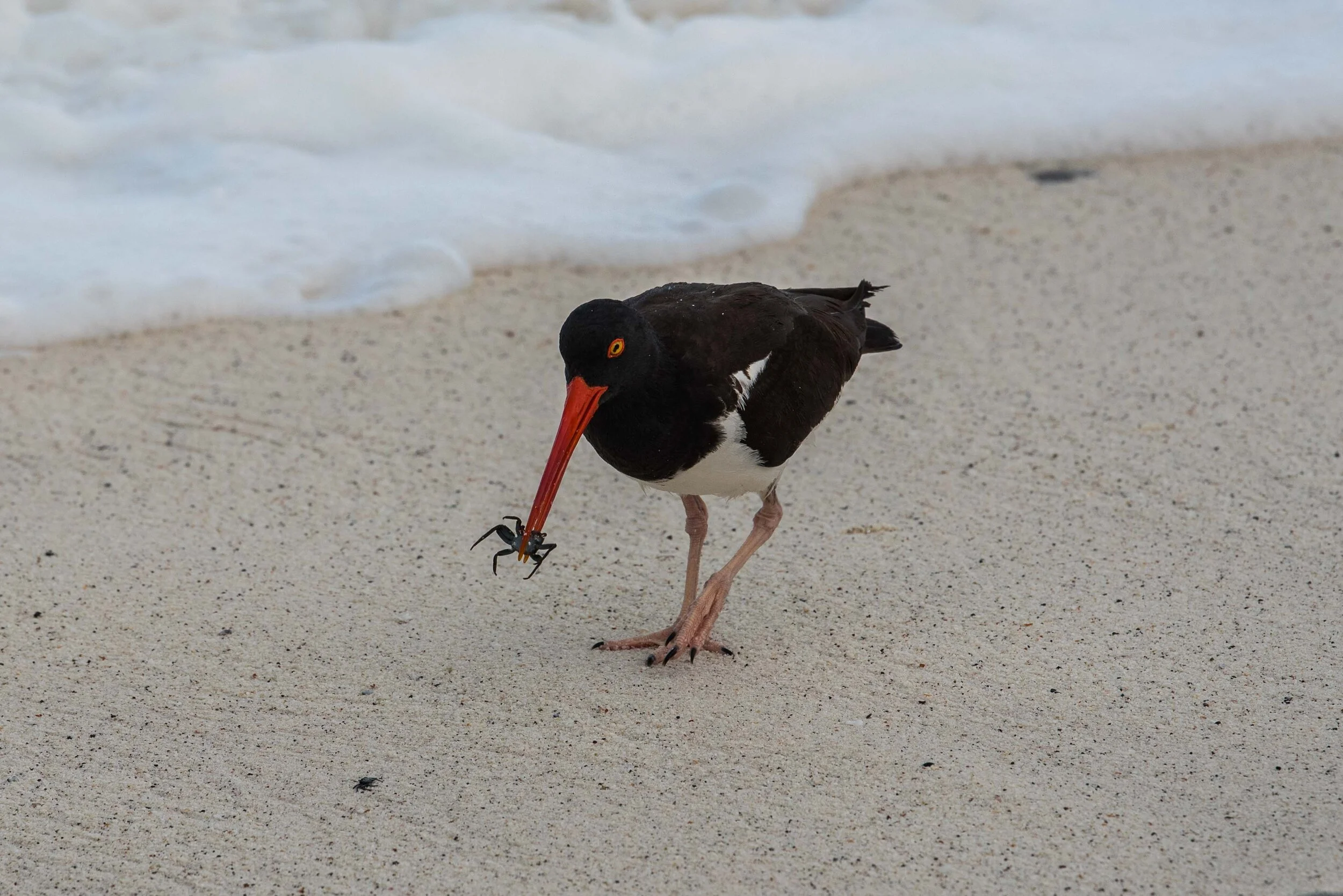 Thomas Wilson Photography - Gallery demo-7.jpg