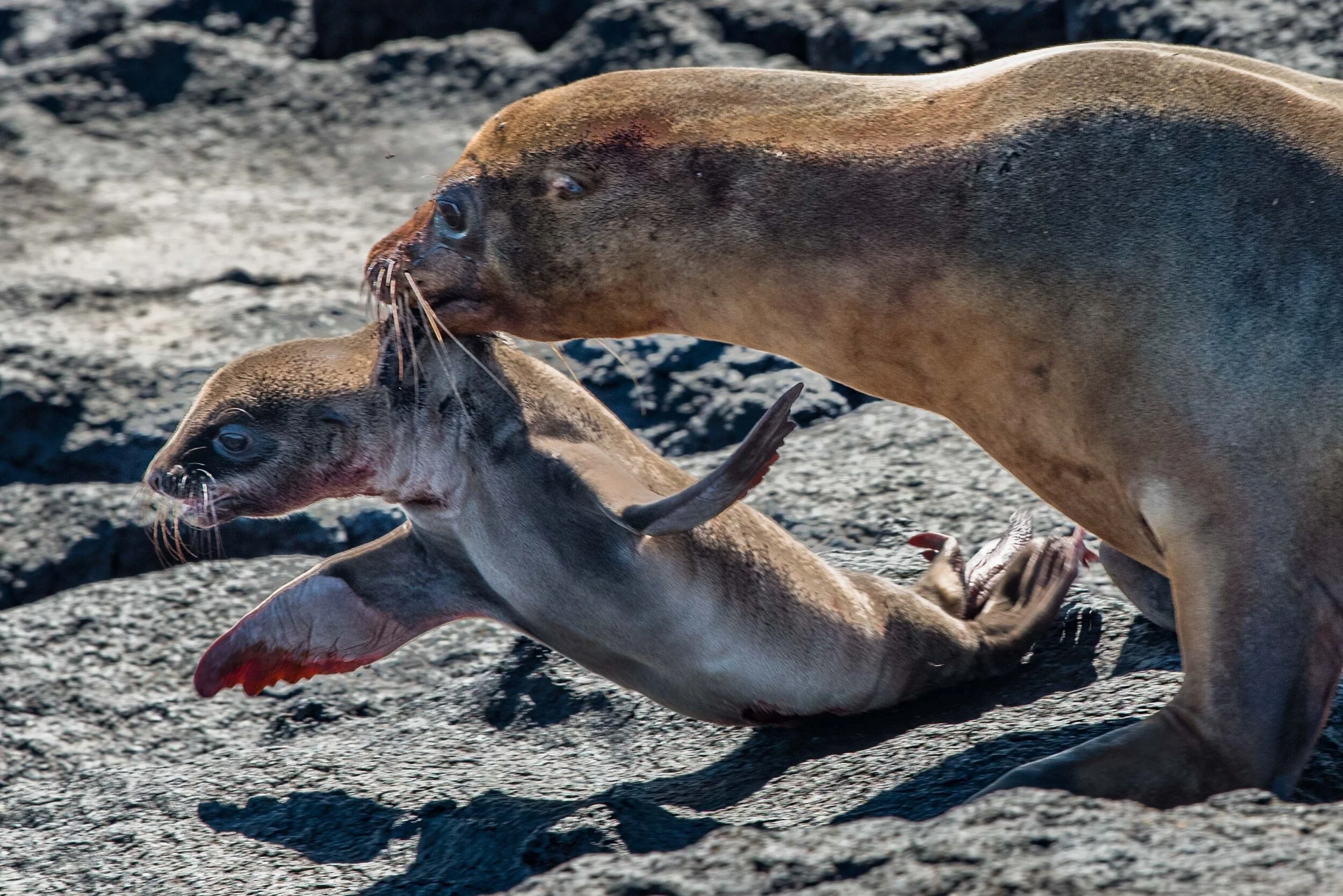 Thomas Wilson Photography - Gallery demo-10.jpg