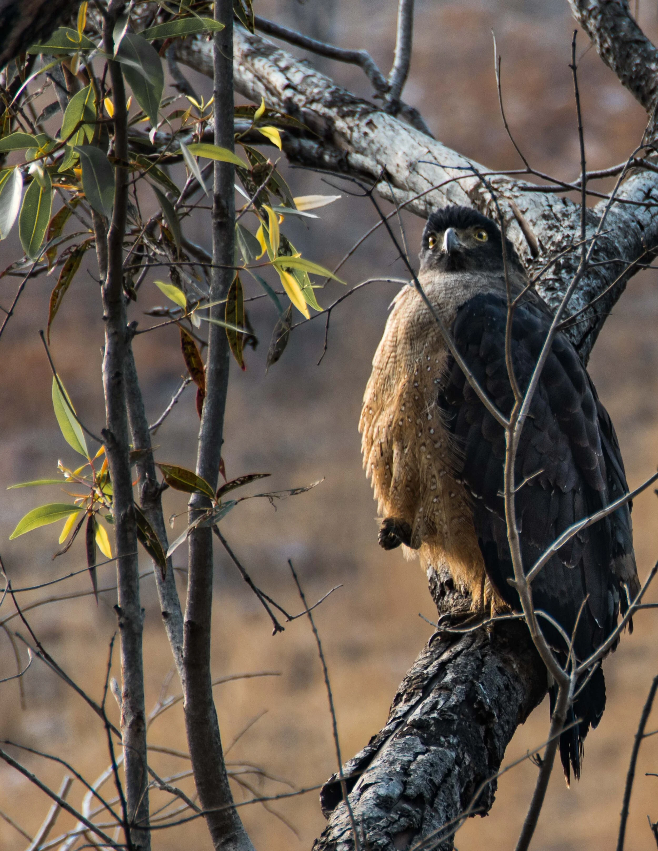 Thomas Wilson Photography - Gallery demo-16.jpg