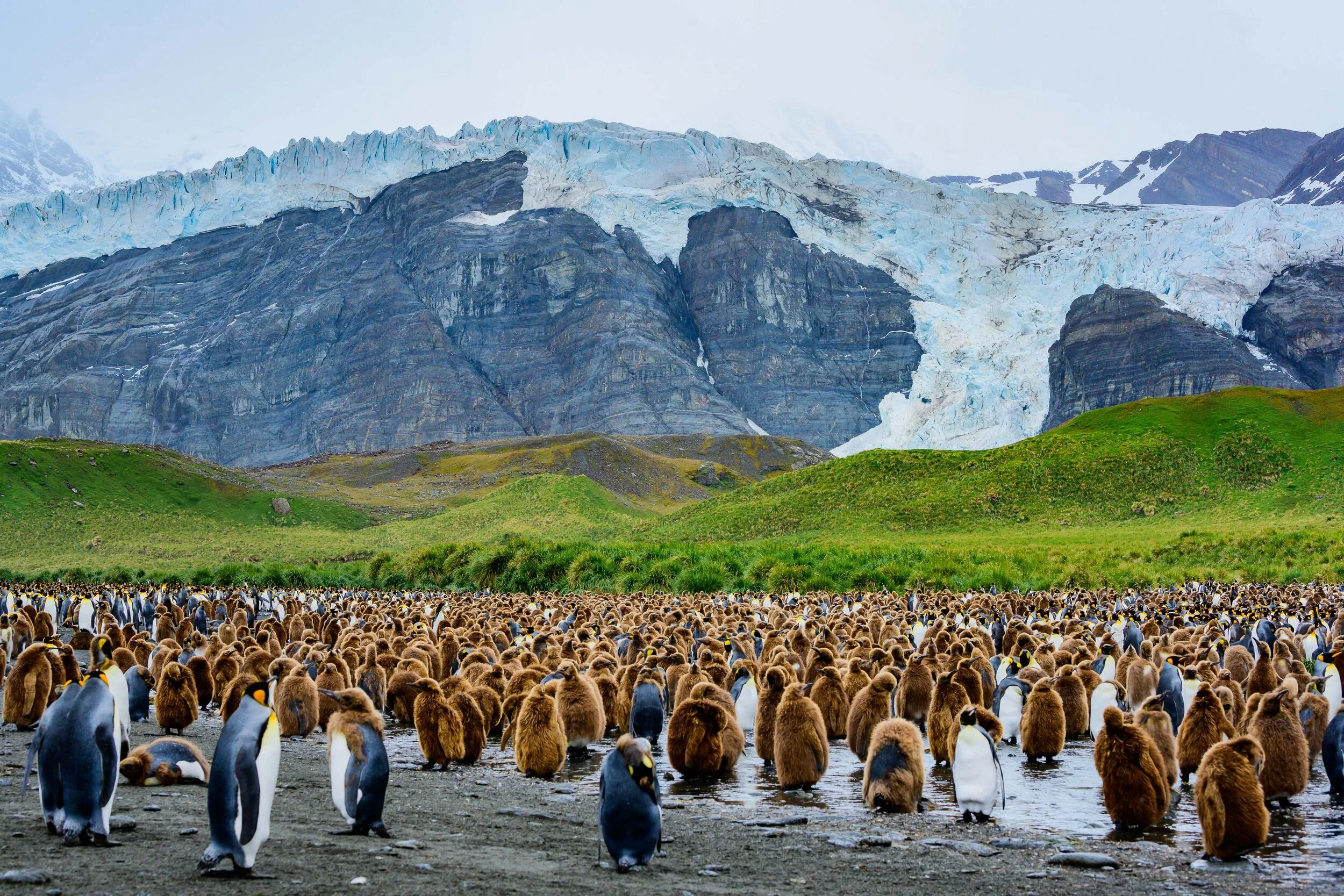 Thomas Wilson Photography - Gallery demo-26.jpg